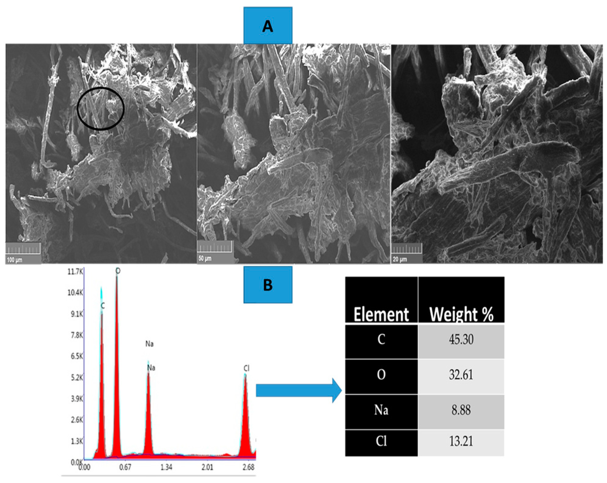 Biomass 05 00022 g006