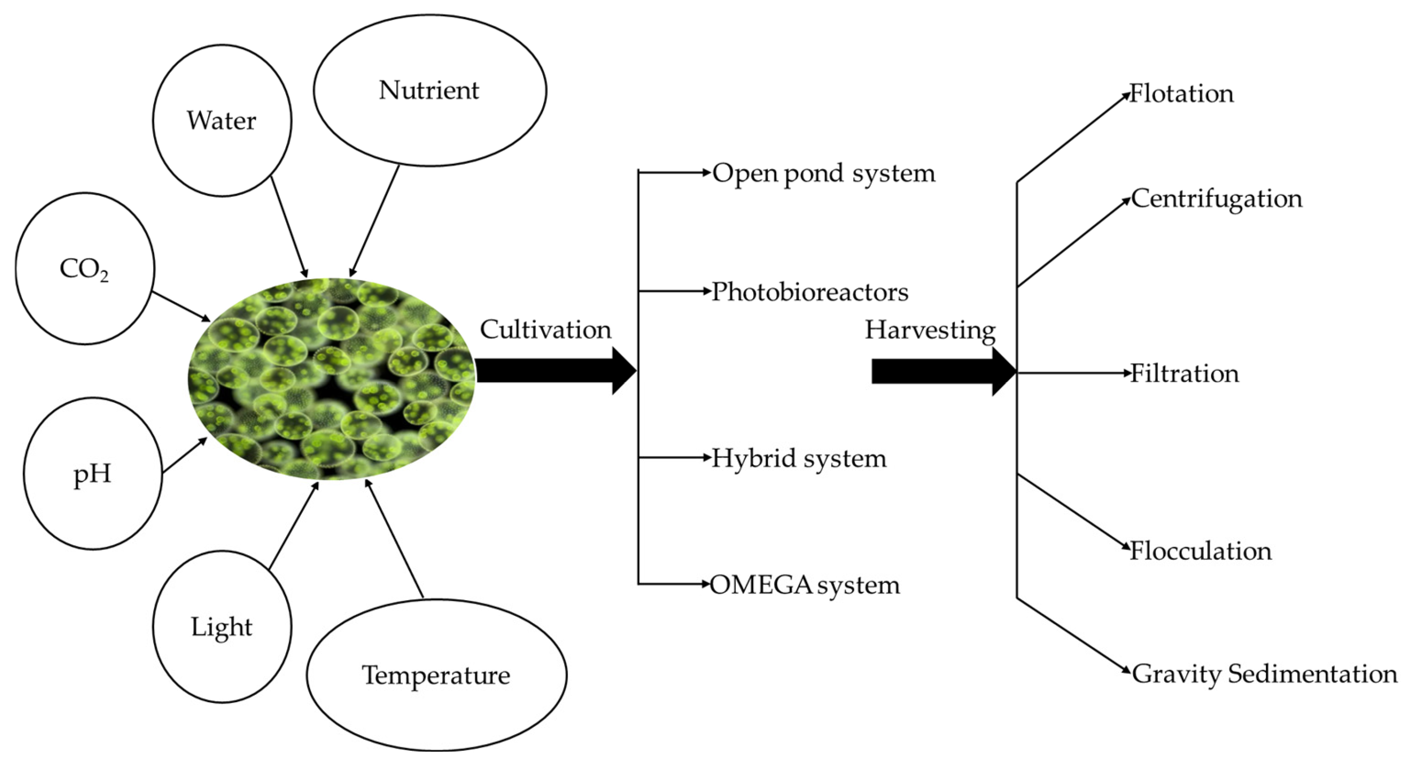 Biomass 05 00026 g004 Biomass 05 00026 g004