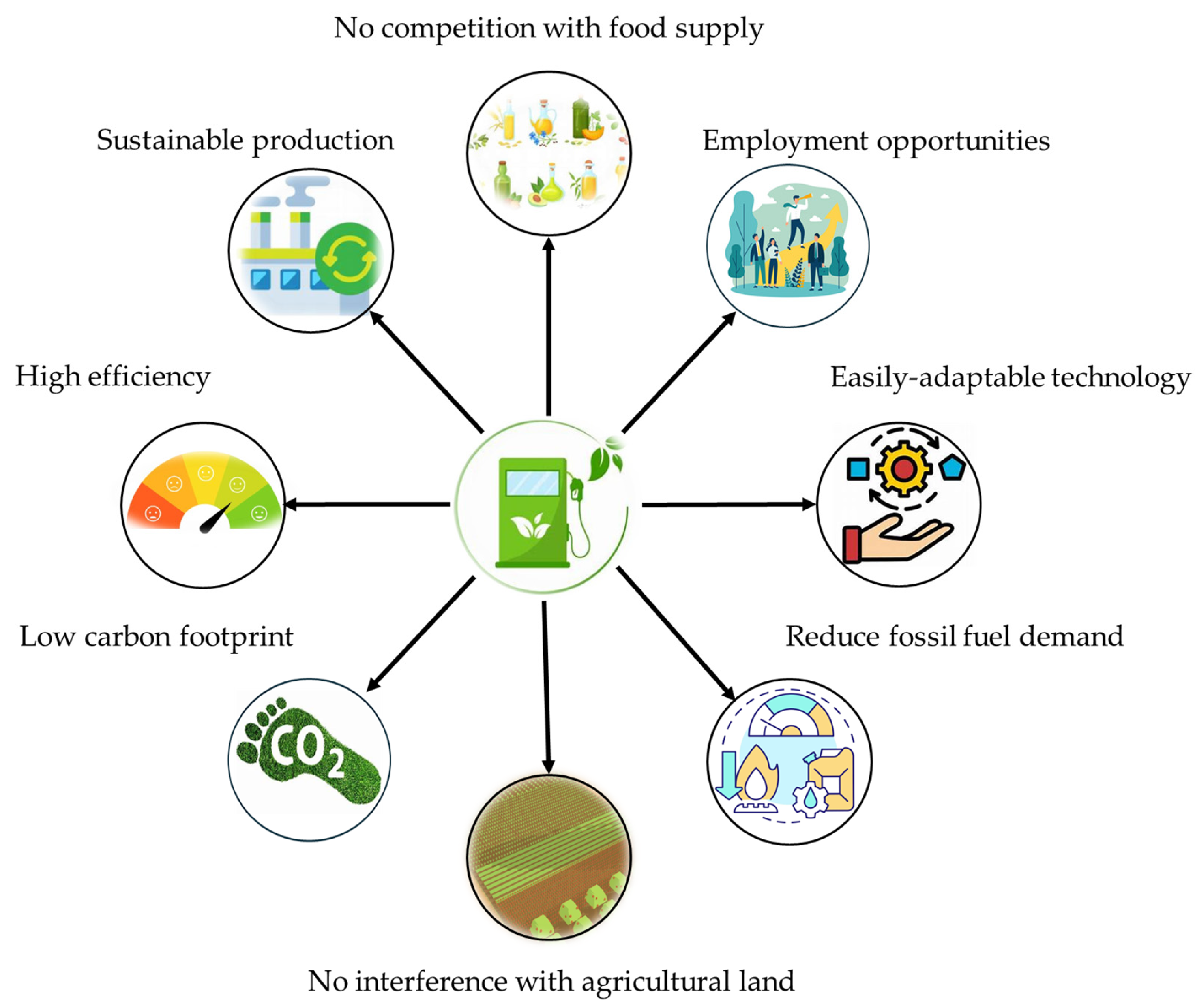 Biomass 05 00026 g009 Biomass 05 00026 g009