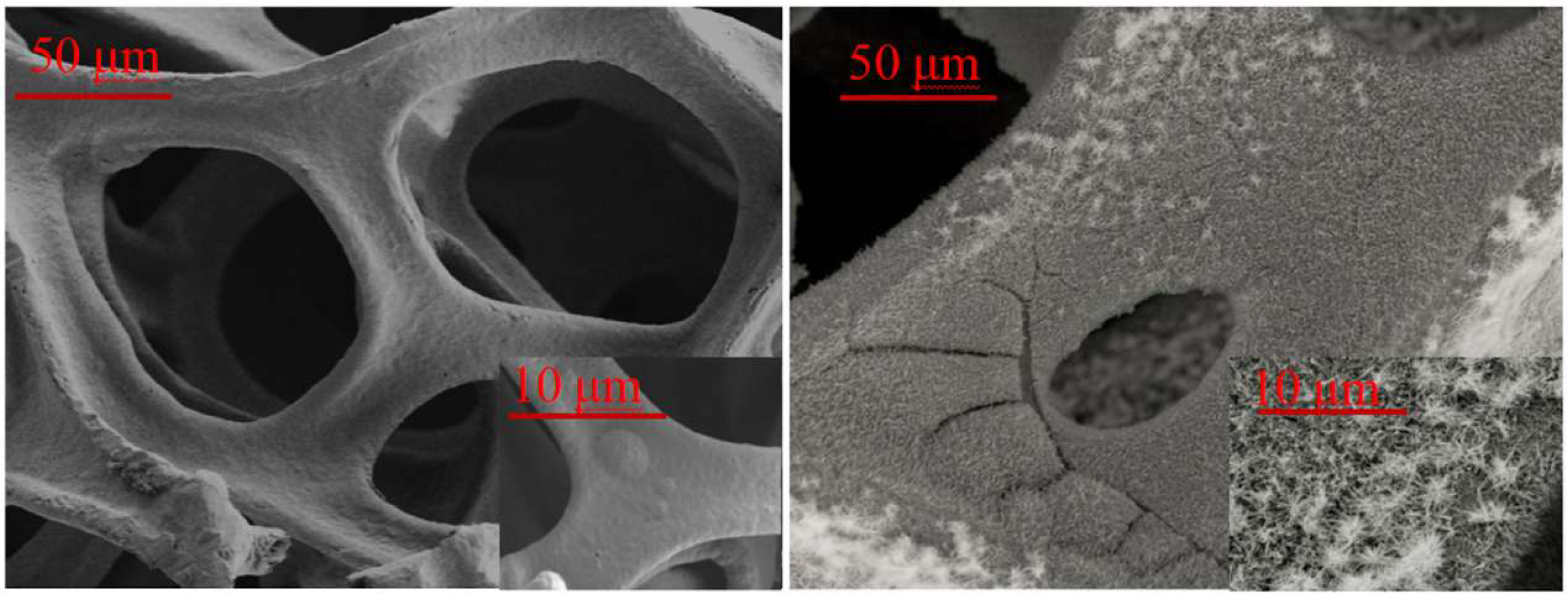 Biomass 05 00027 g005