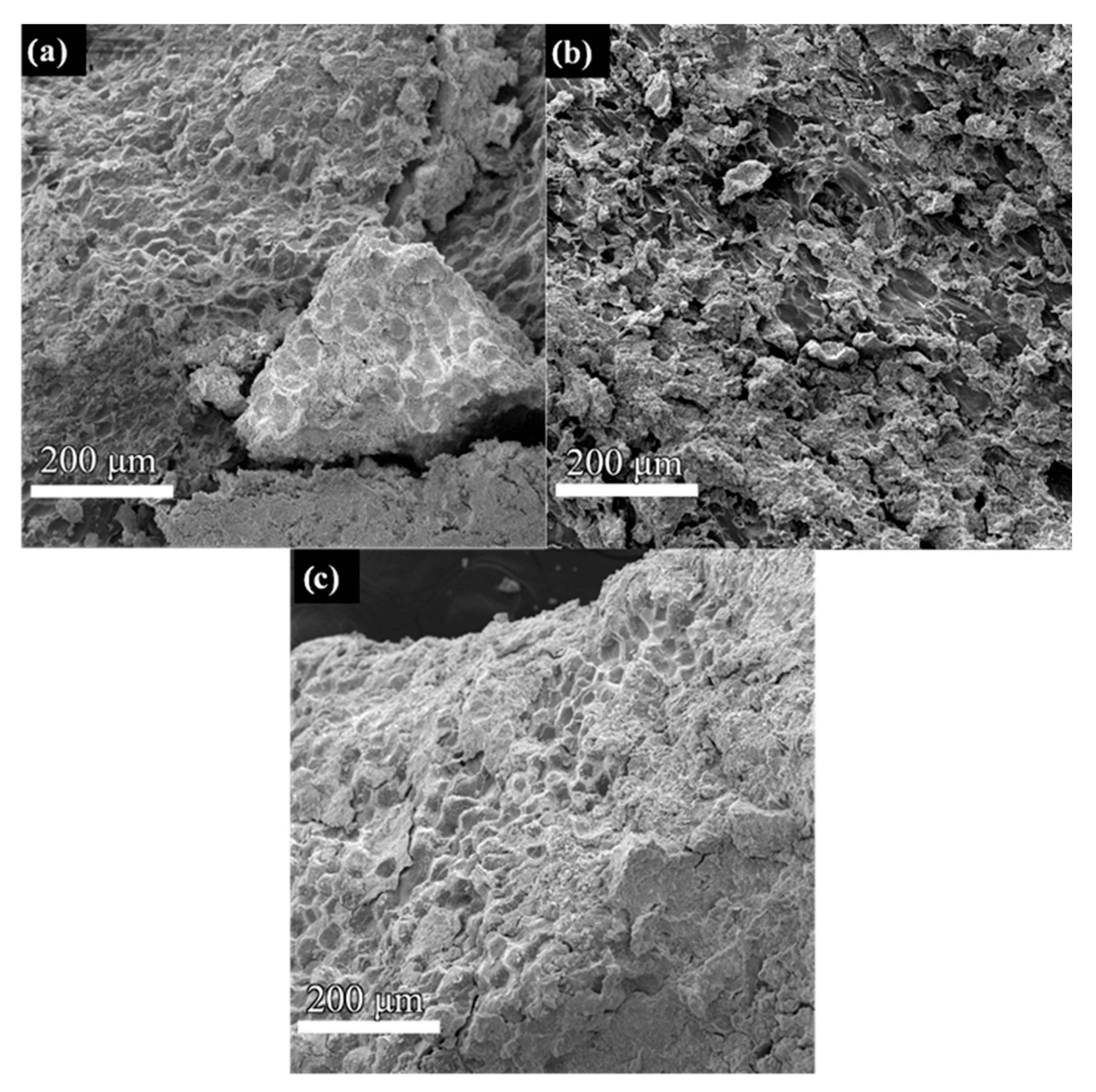 Biomass 05 00031 g008