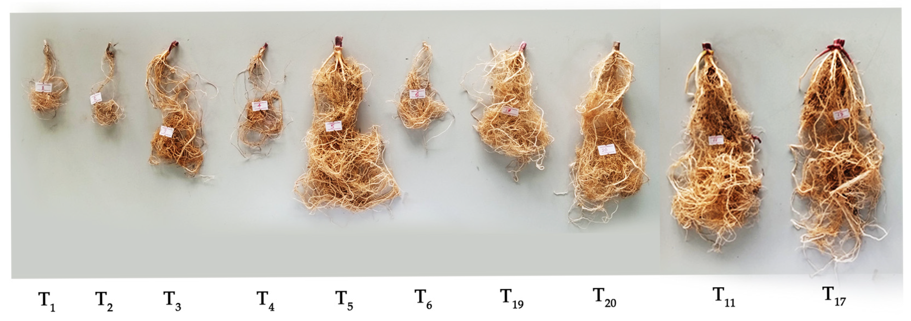 Biomass 05 00039 g007