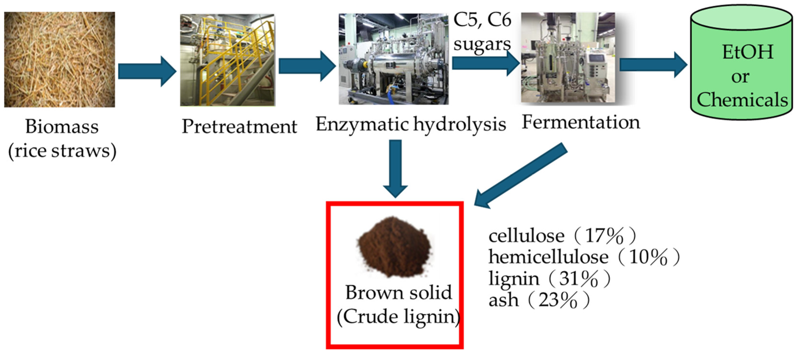Biomass 05 00040 g001