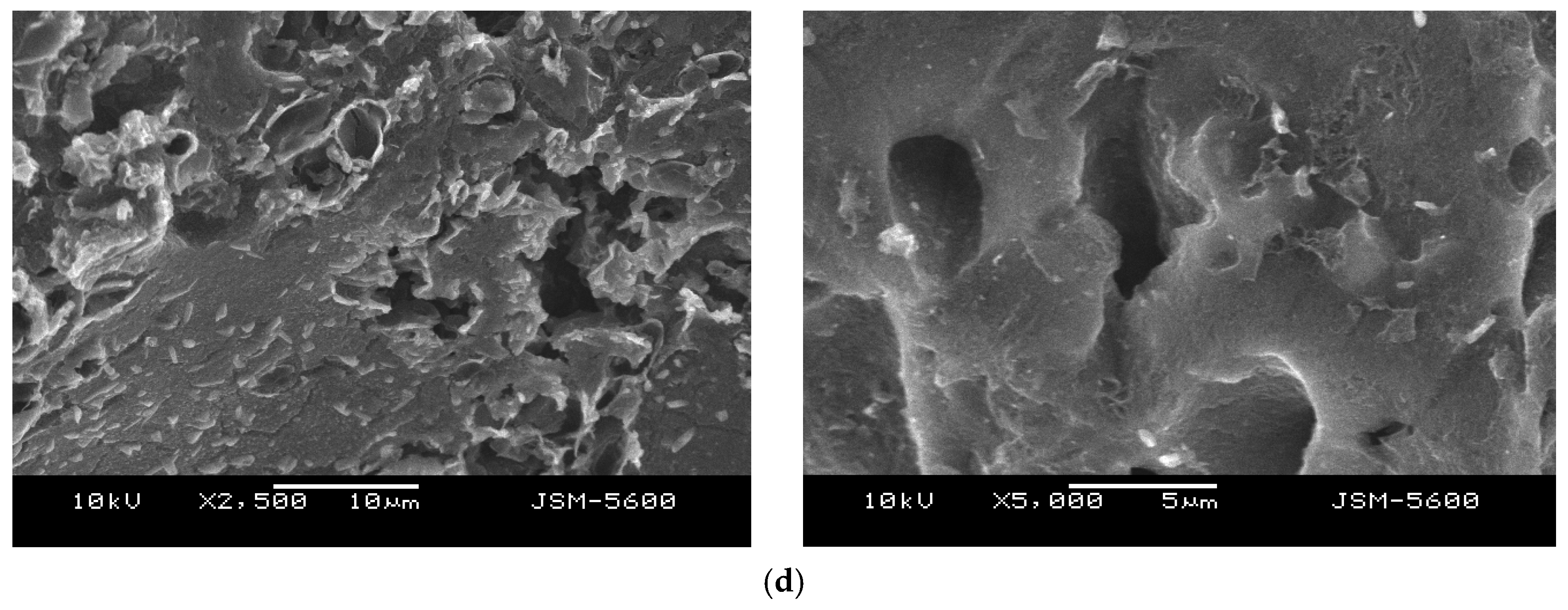 Biomass 05 00040 g009b