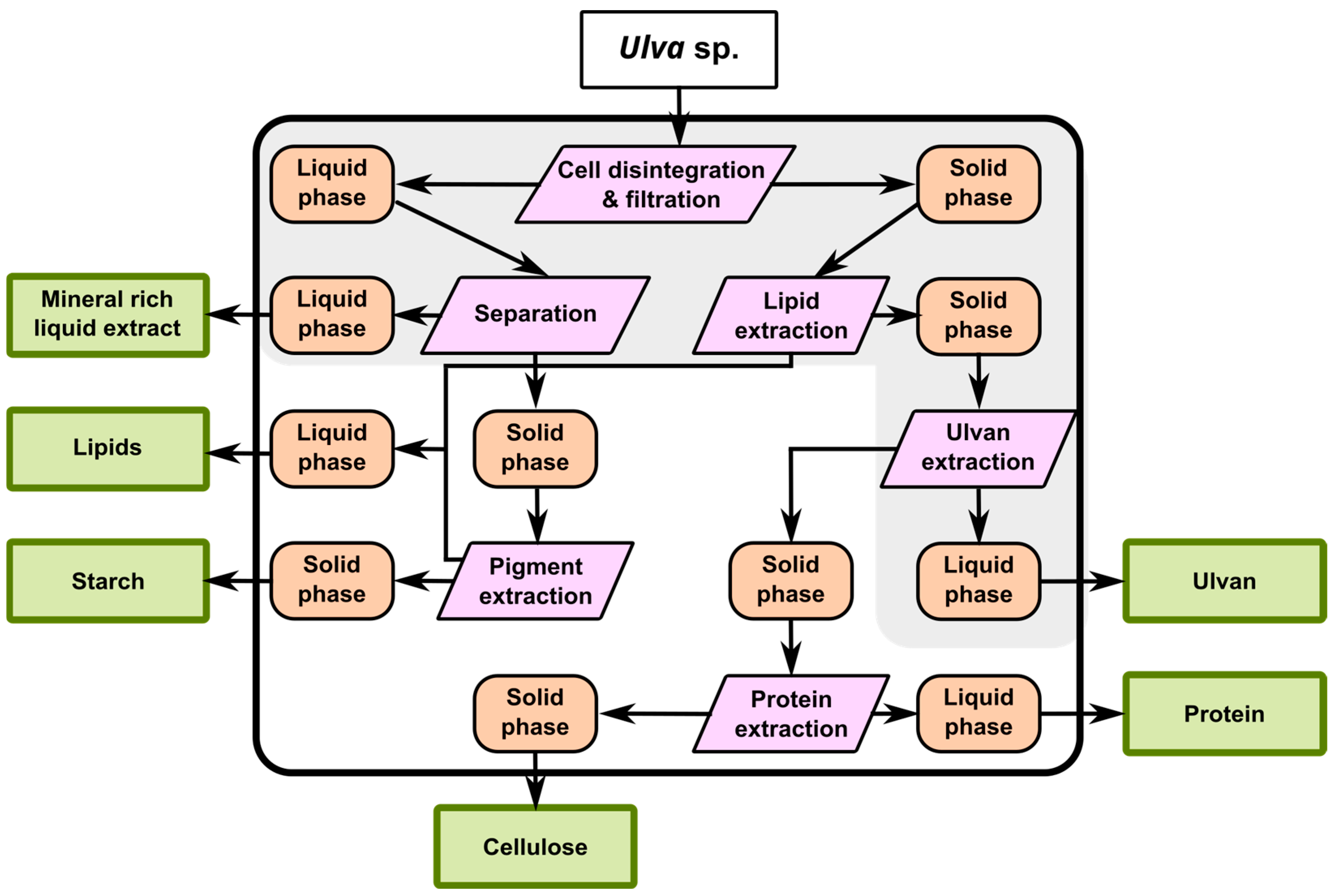 Biomass 05 00041 g001