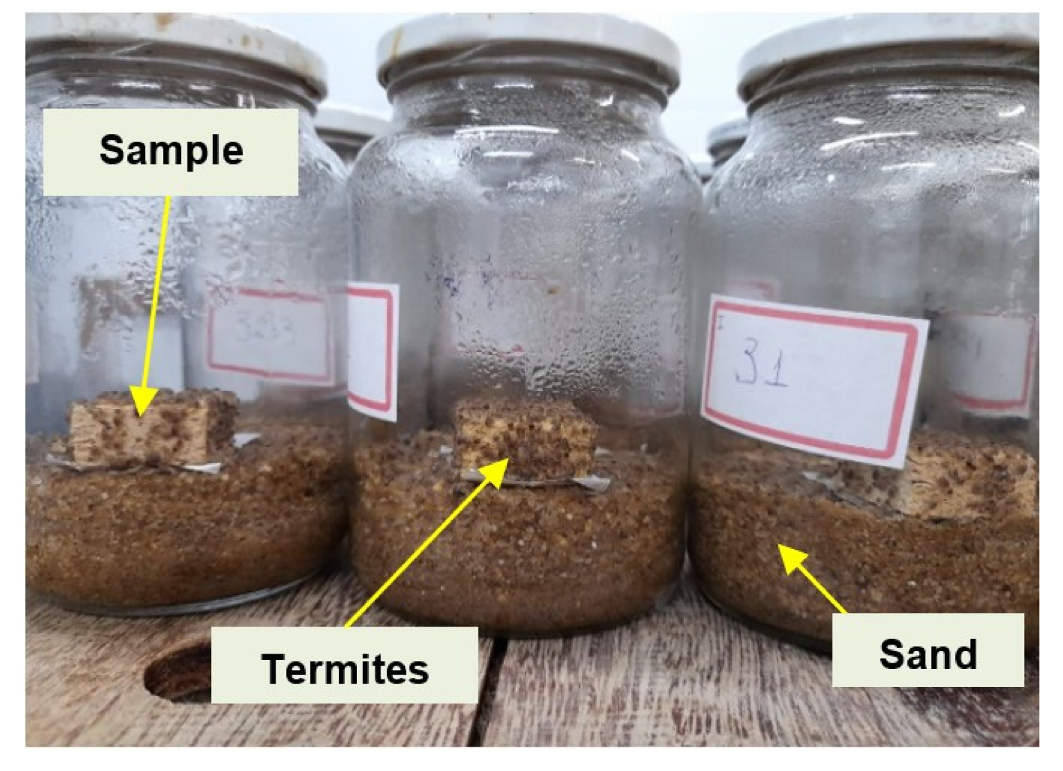 Biomass 05 00043 g002