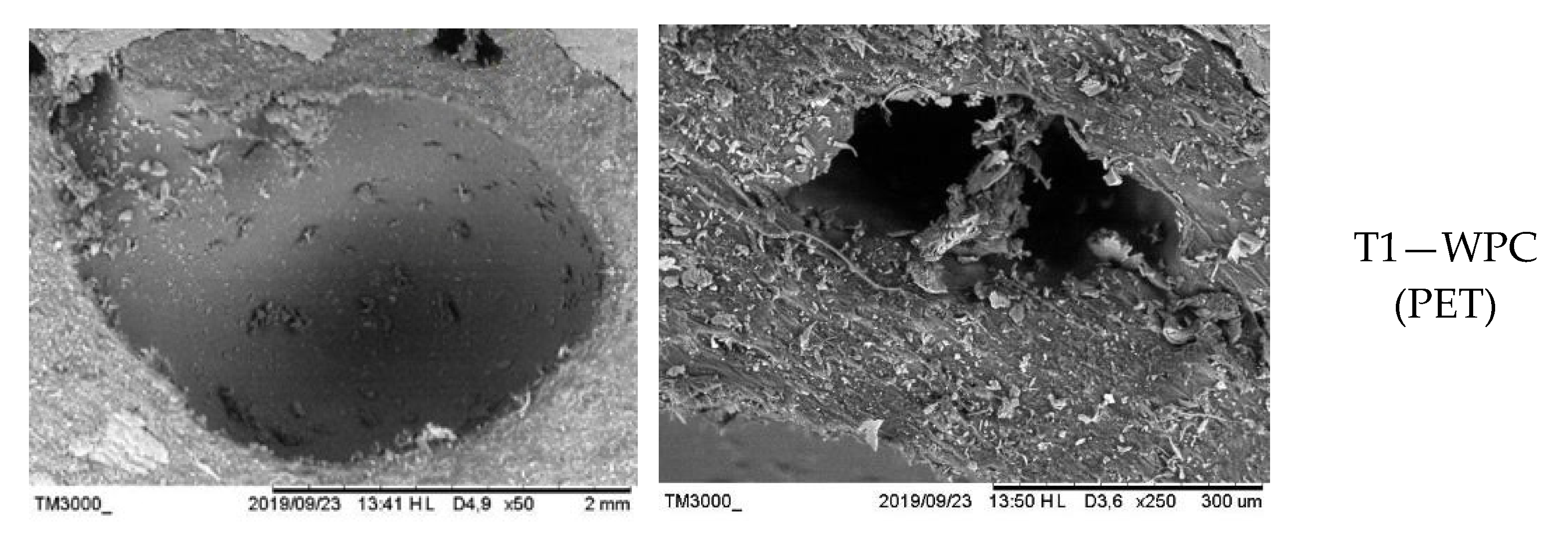 Biomass 05 00043 g005a