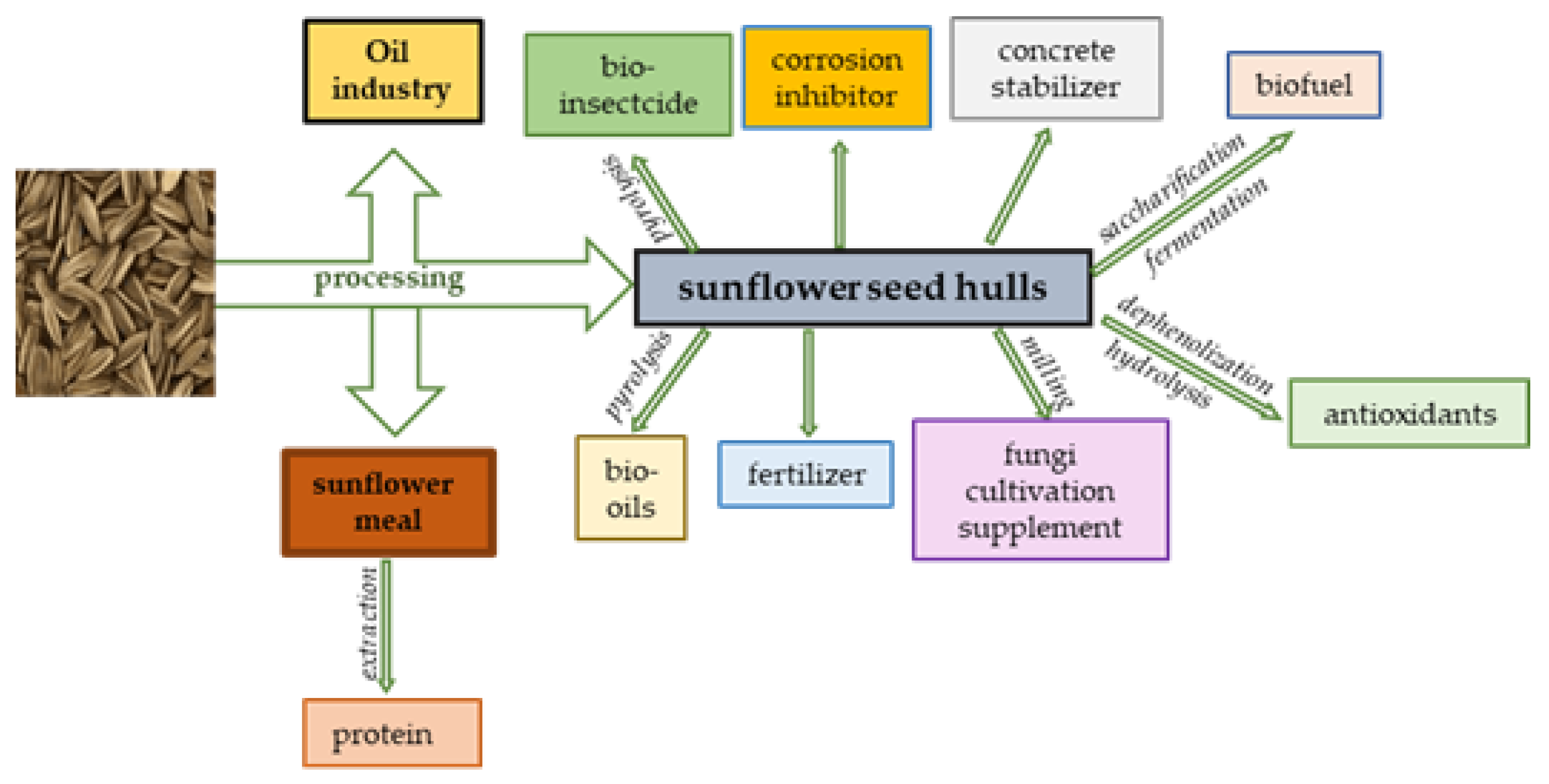 Biomass 05 00047 g002 Biomass 05 00047 g002
