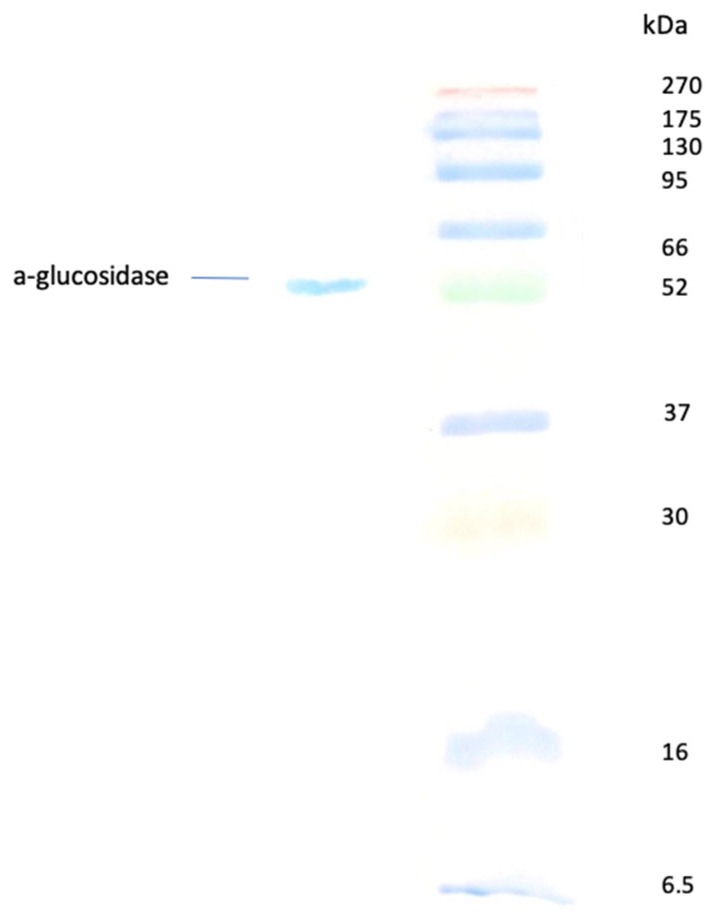 Biomass 05 00067 g006