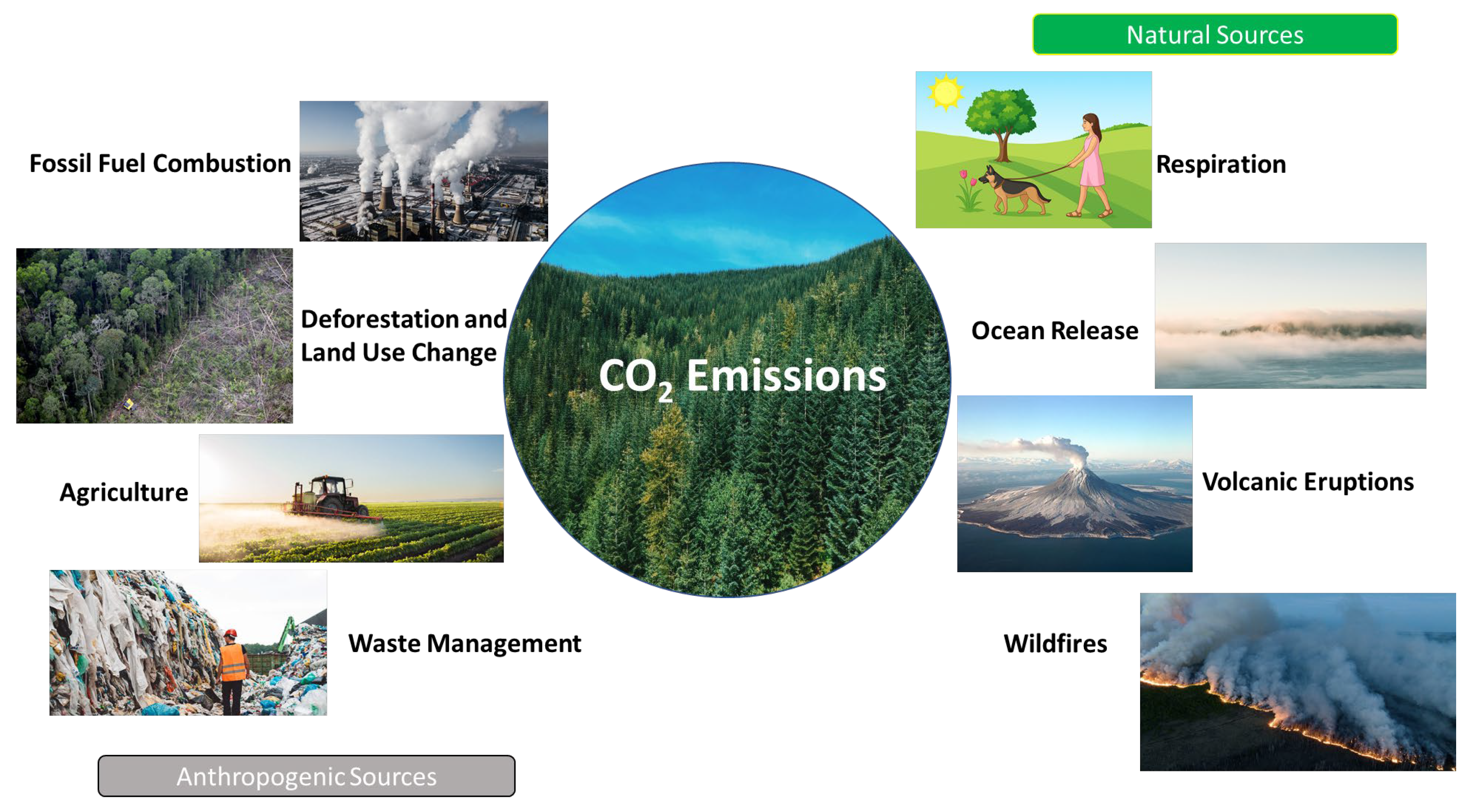 Biomass 05 00070 g001
