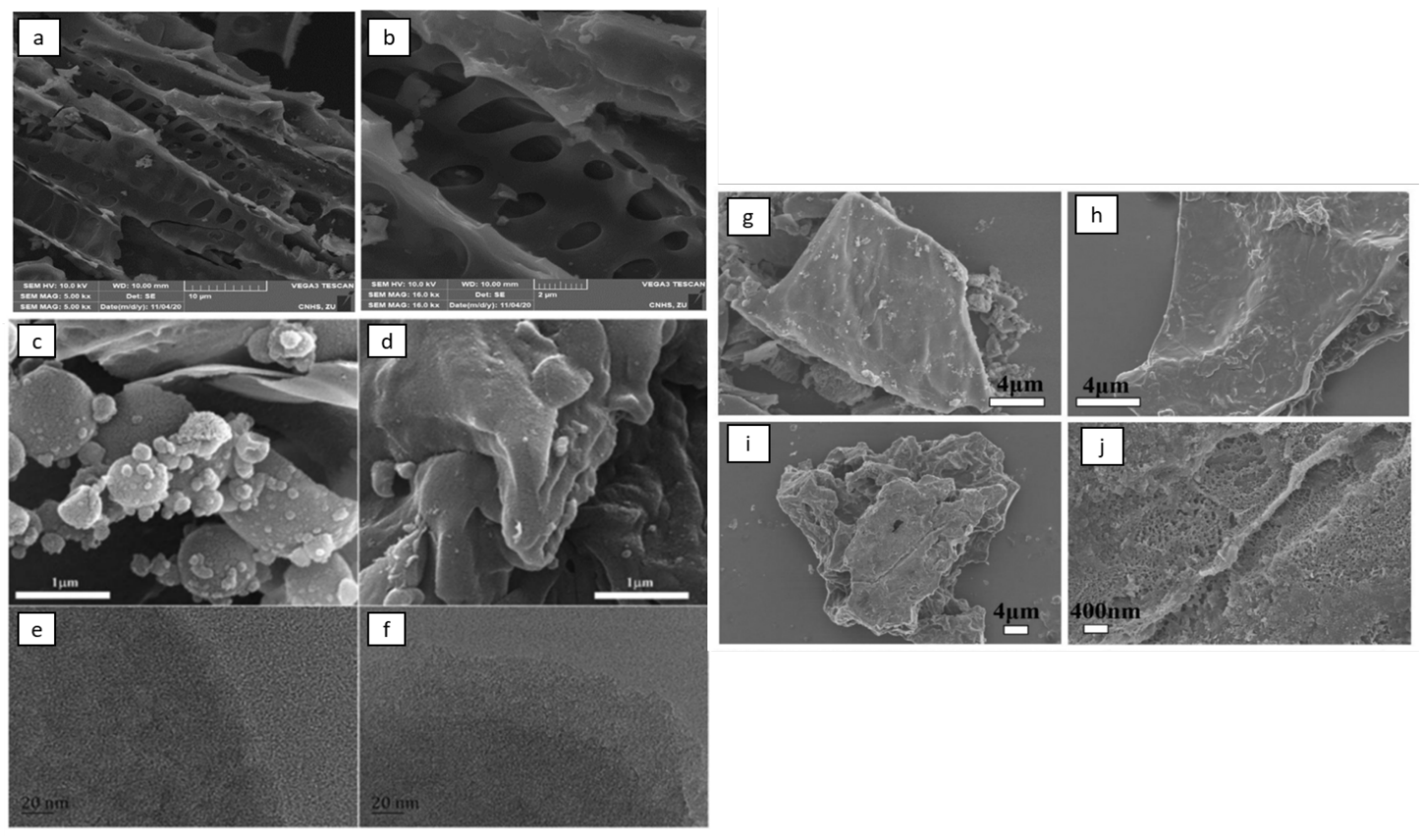 Biomass 05 00070 g005