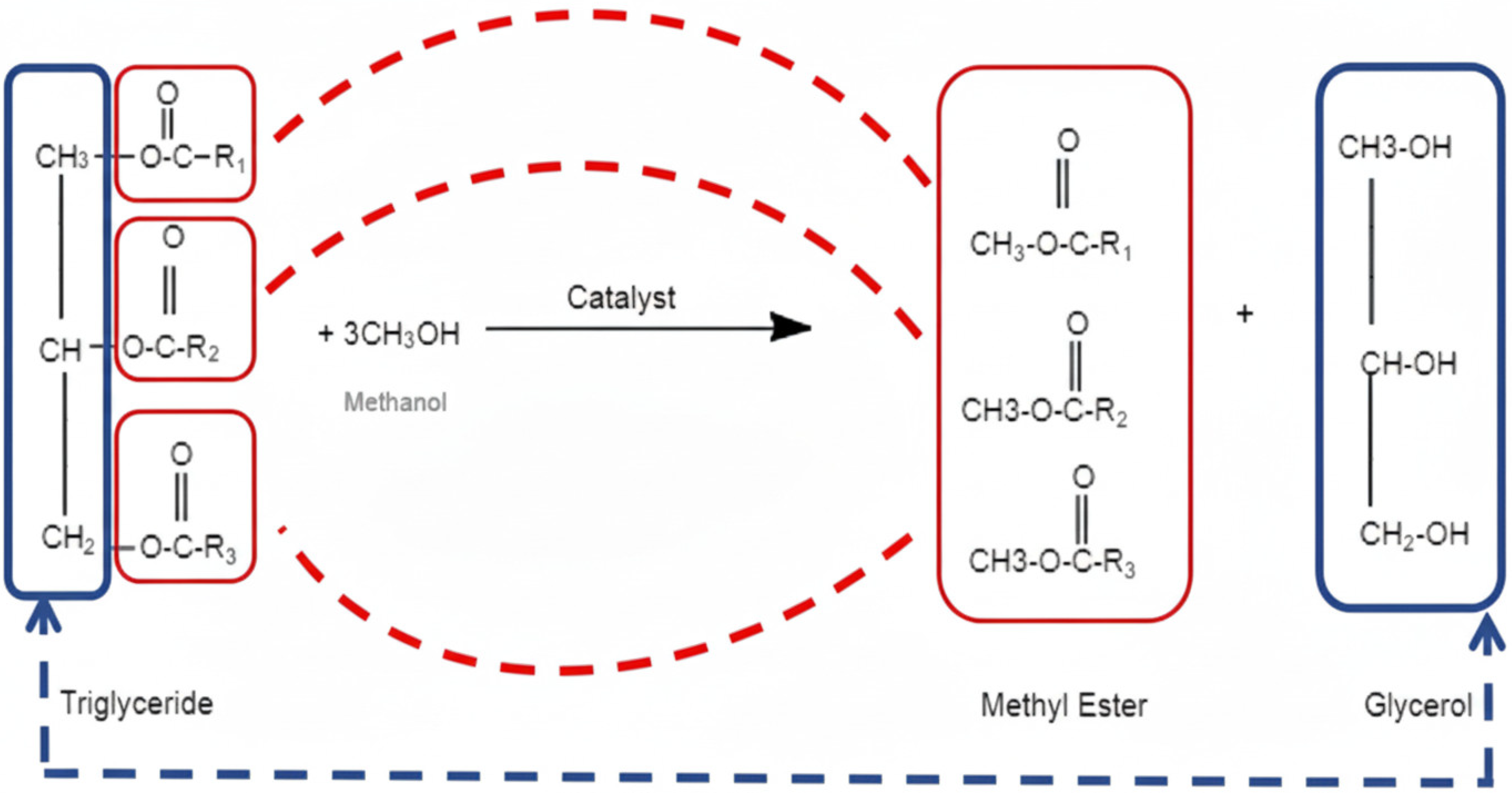 Biomass 05 00071 g001 Biomass 05 00071 g001
