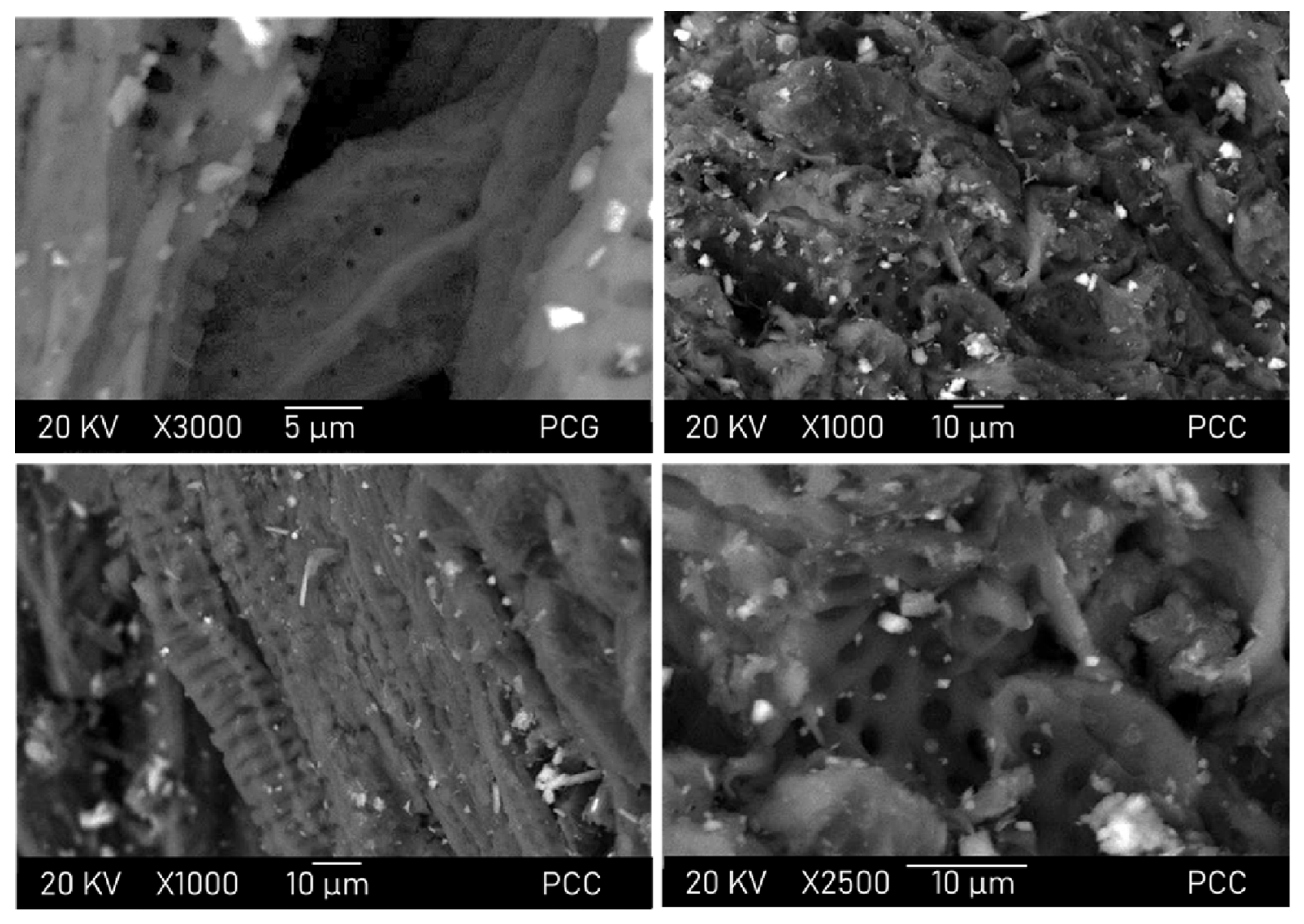 Biomass 06 00003 g002