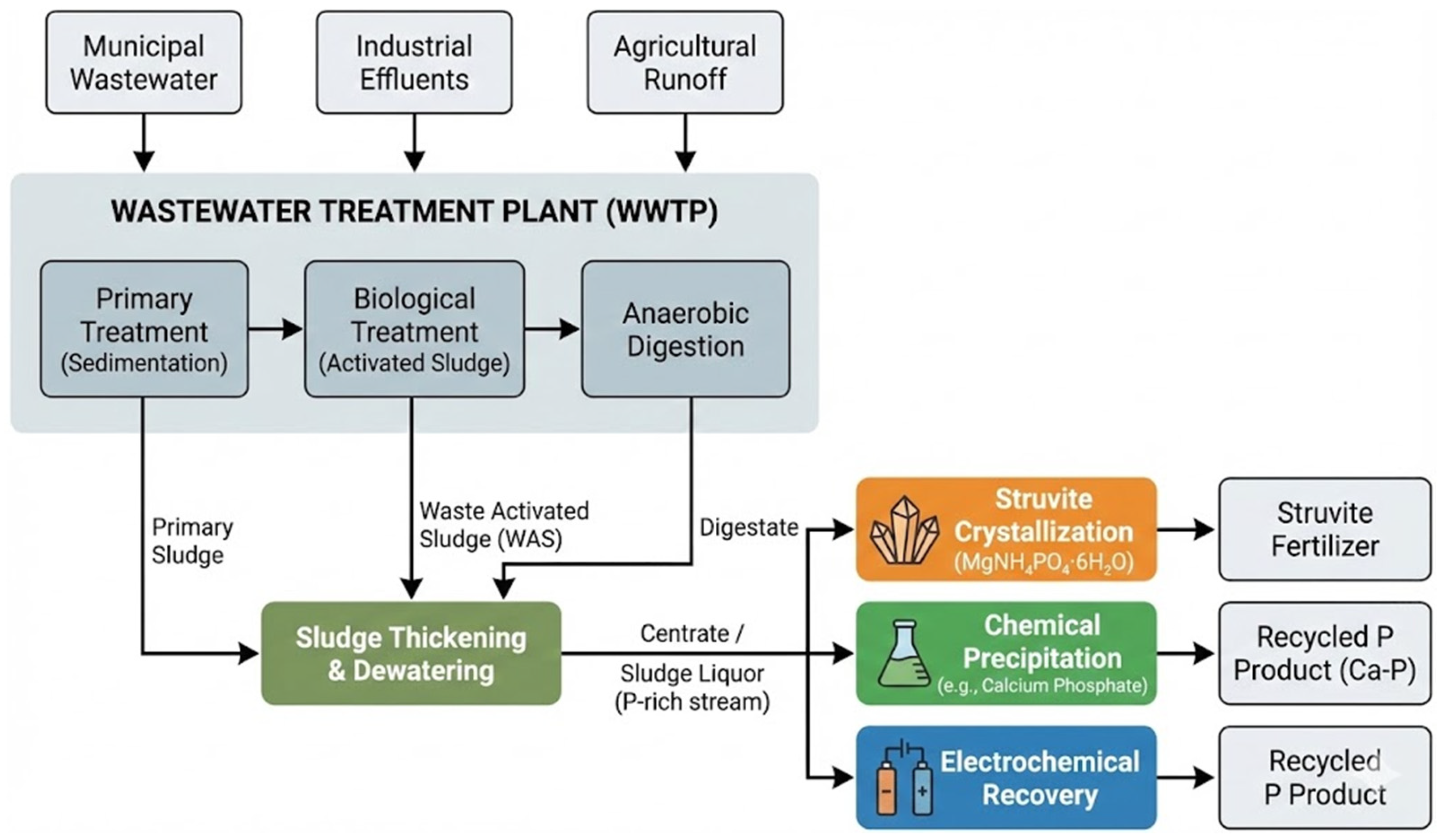 Biomass 06 00032 g002 Biomass 06 00032 g002