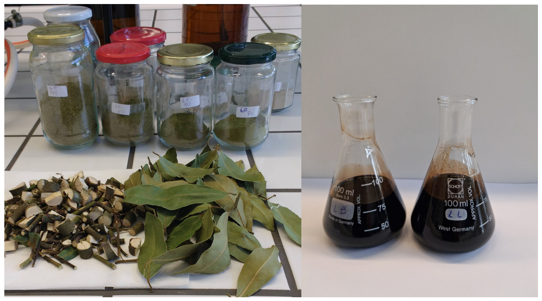 Biomass 06 00039 g001