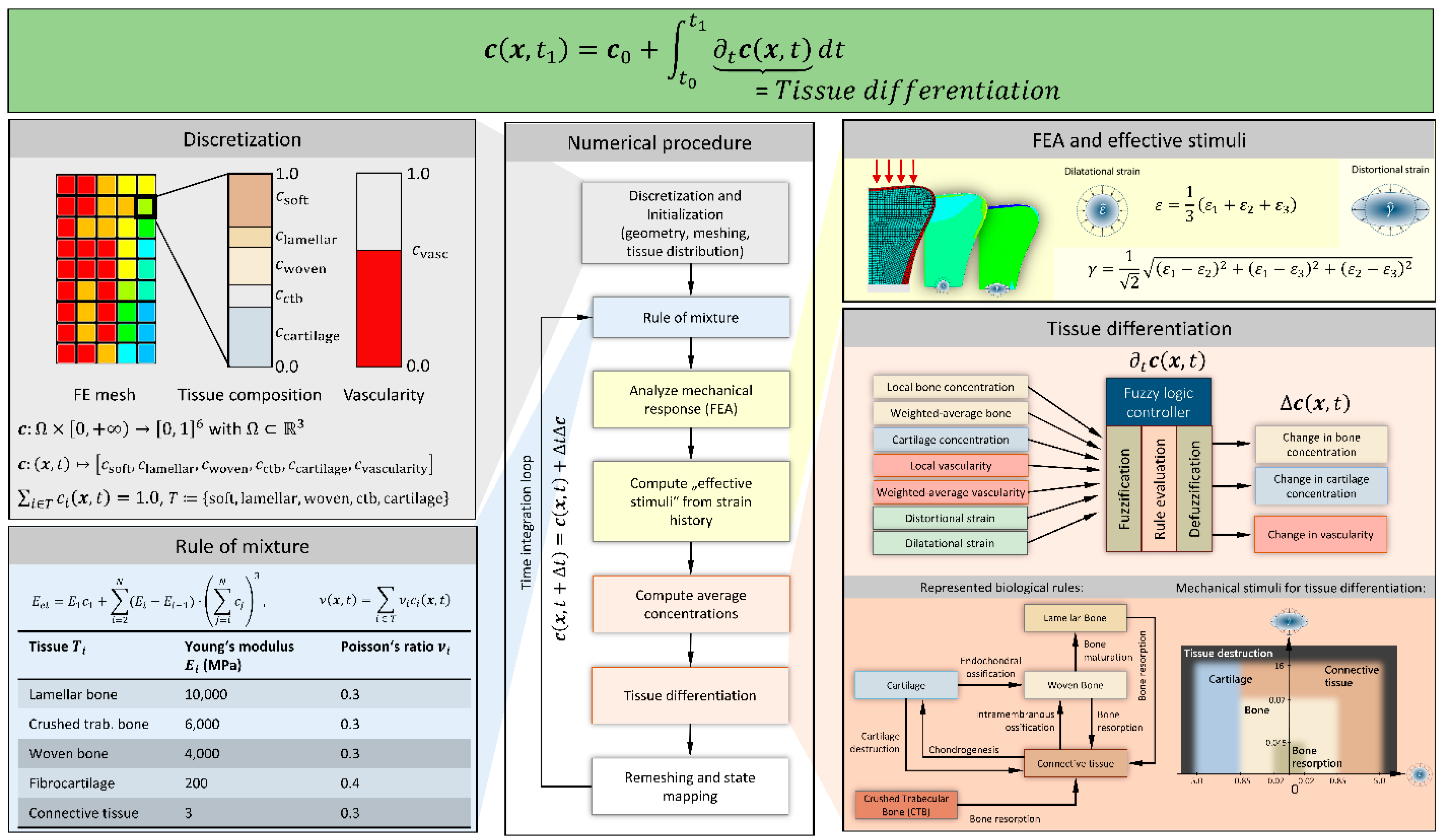 Biomechanics 01 00003 g001