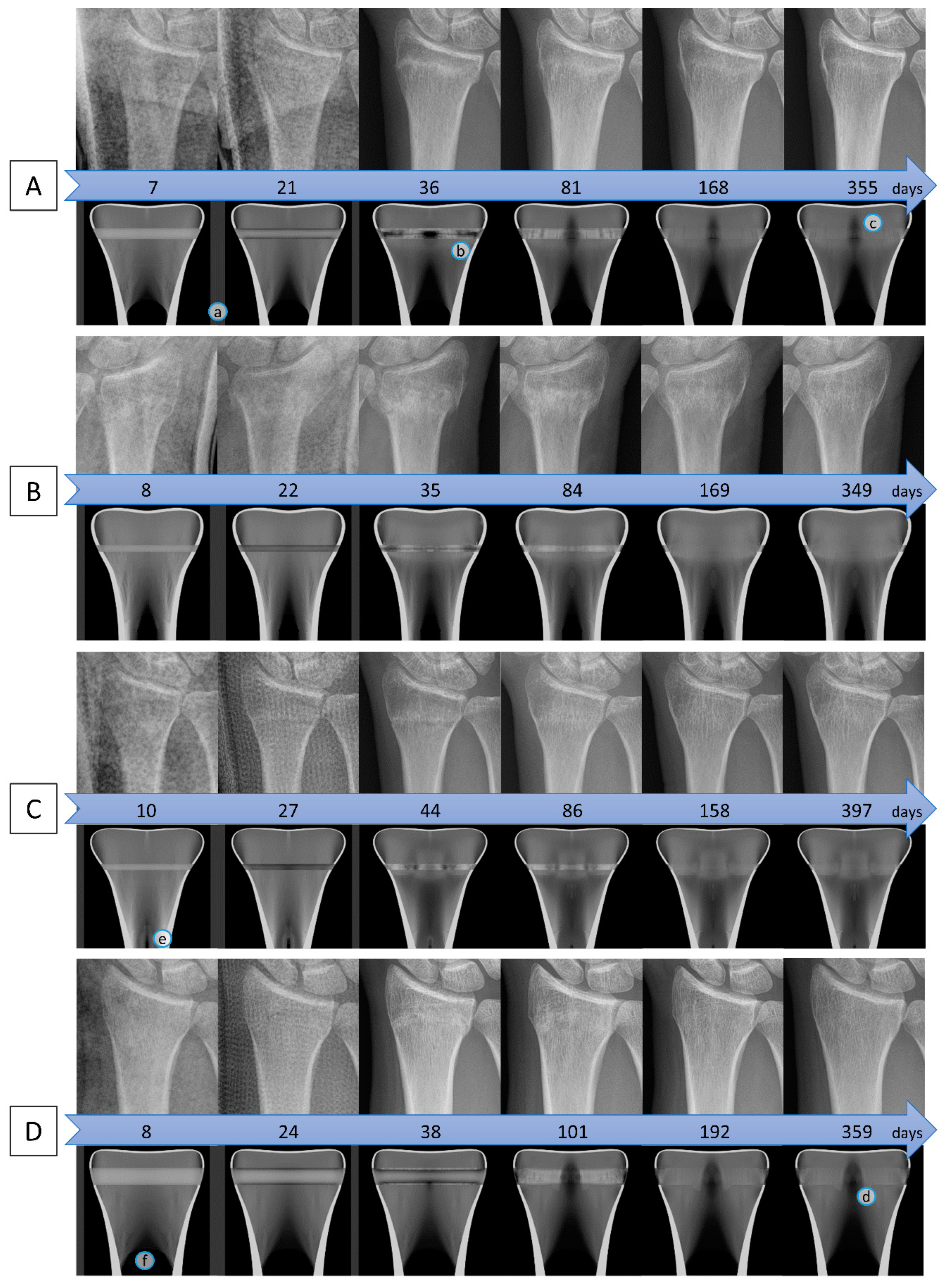 Biomechanics 01 00003 g004