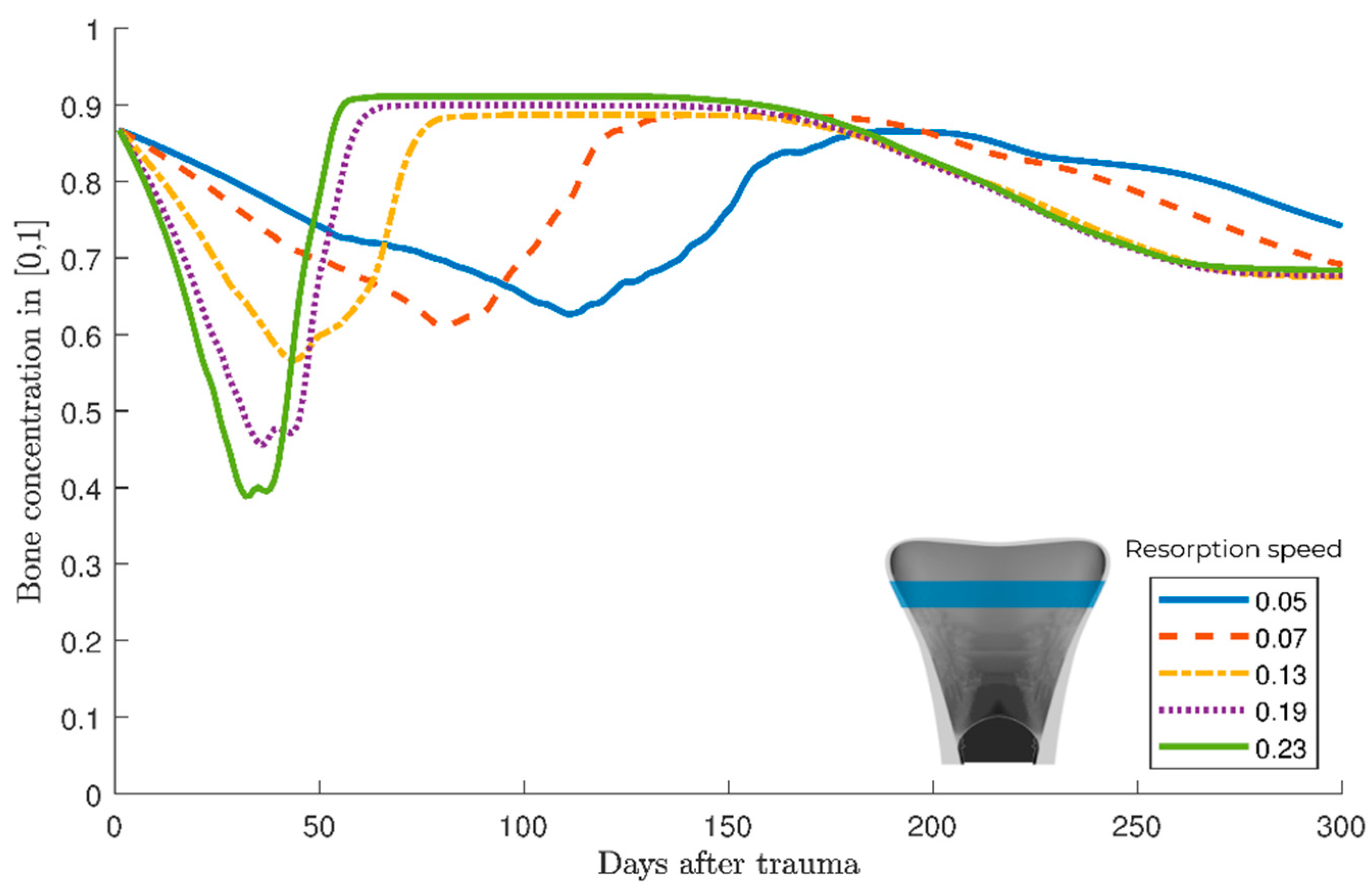 Biomechanics 01 00003 g006