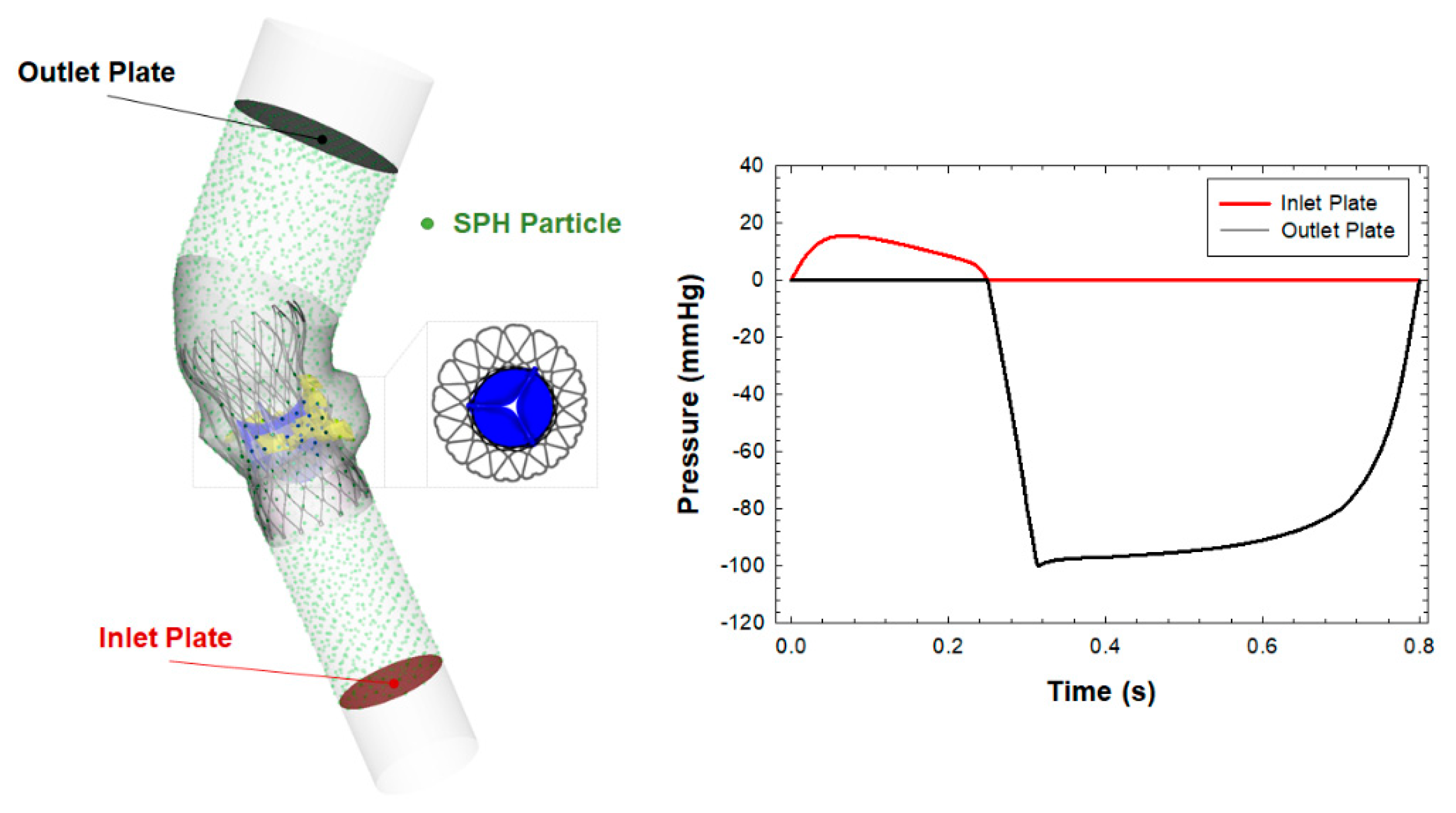 Biomechanics 01 00004 g002 Biomechanics 01 00004 g002