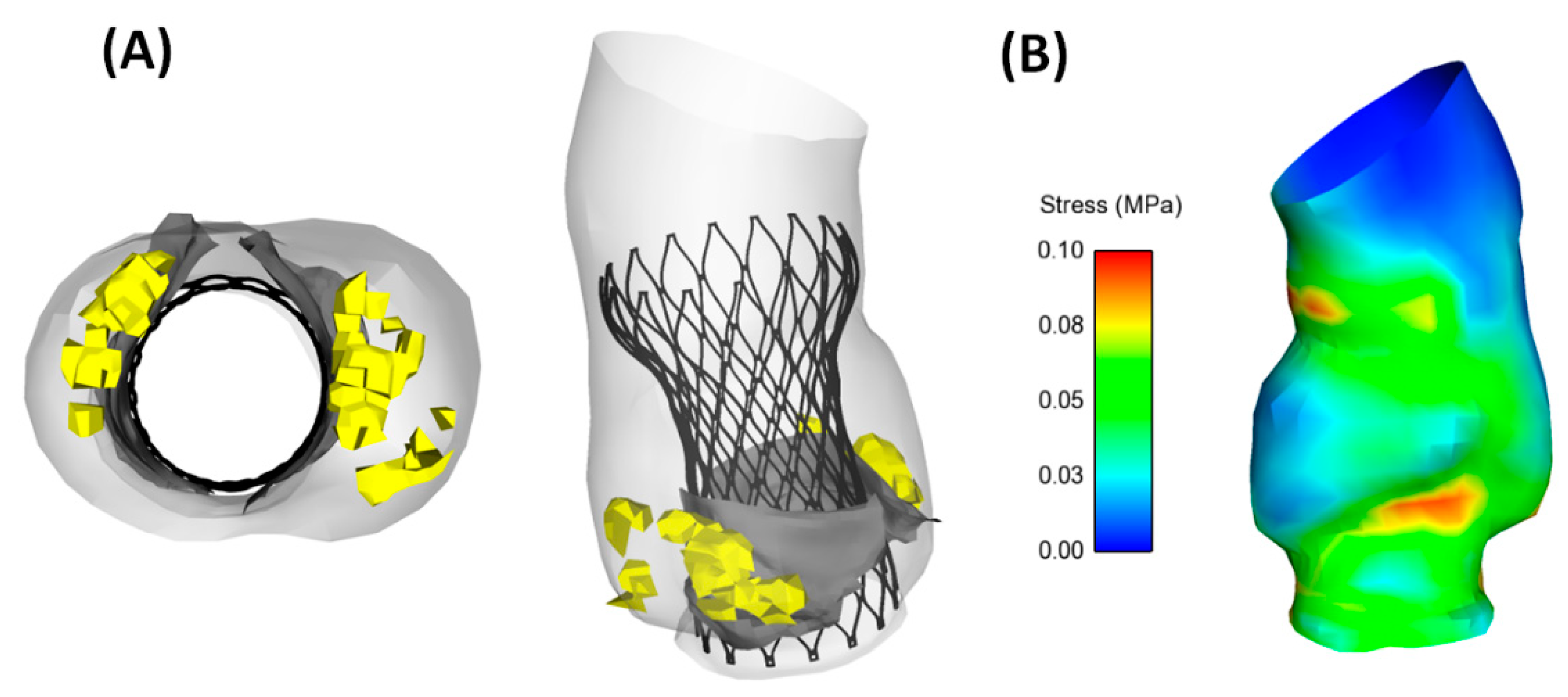 Biomechanics 01 00004 g003 Biomechanics 01 00004 g003