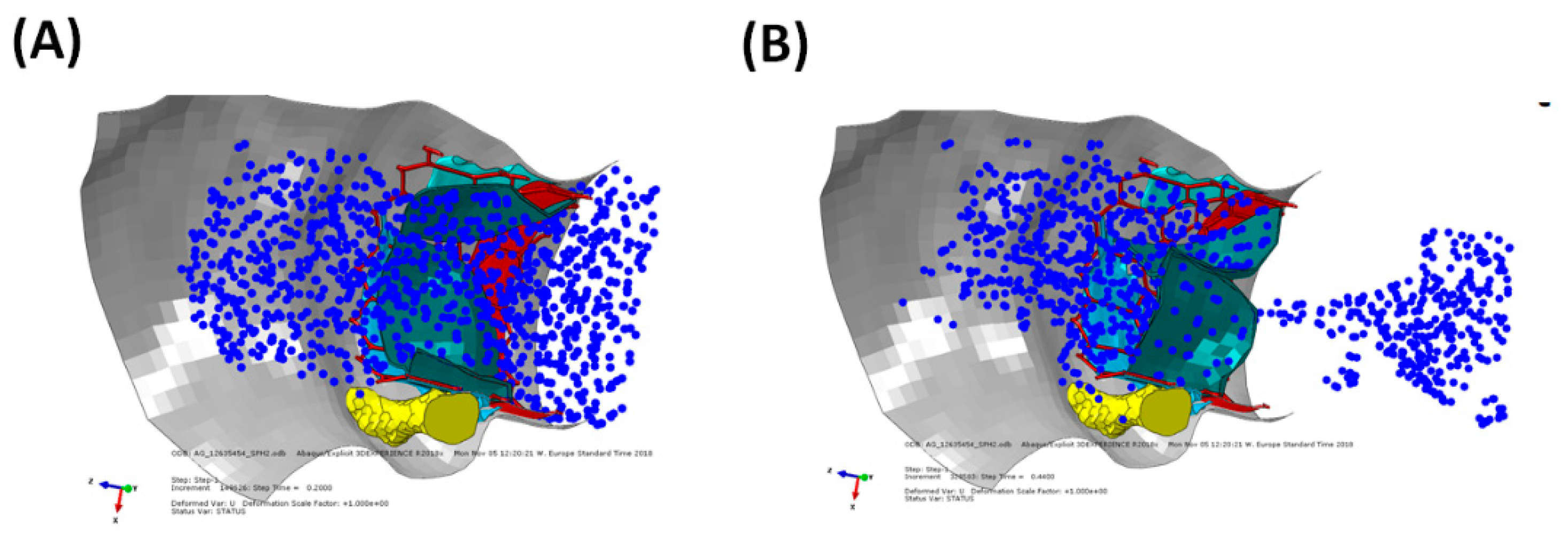 Biomechanics 01 00004 g006 Biomechanics 01 00004 g006