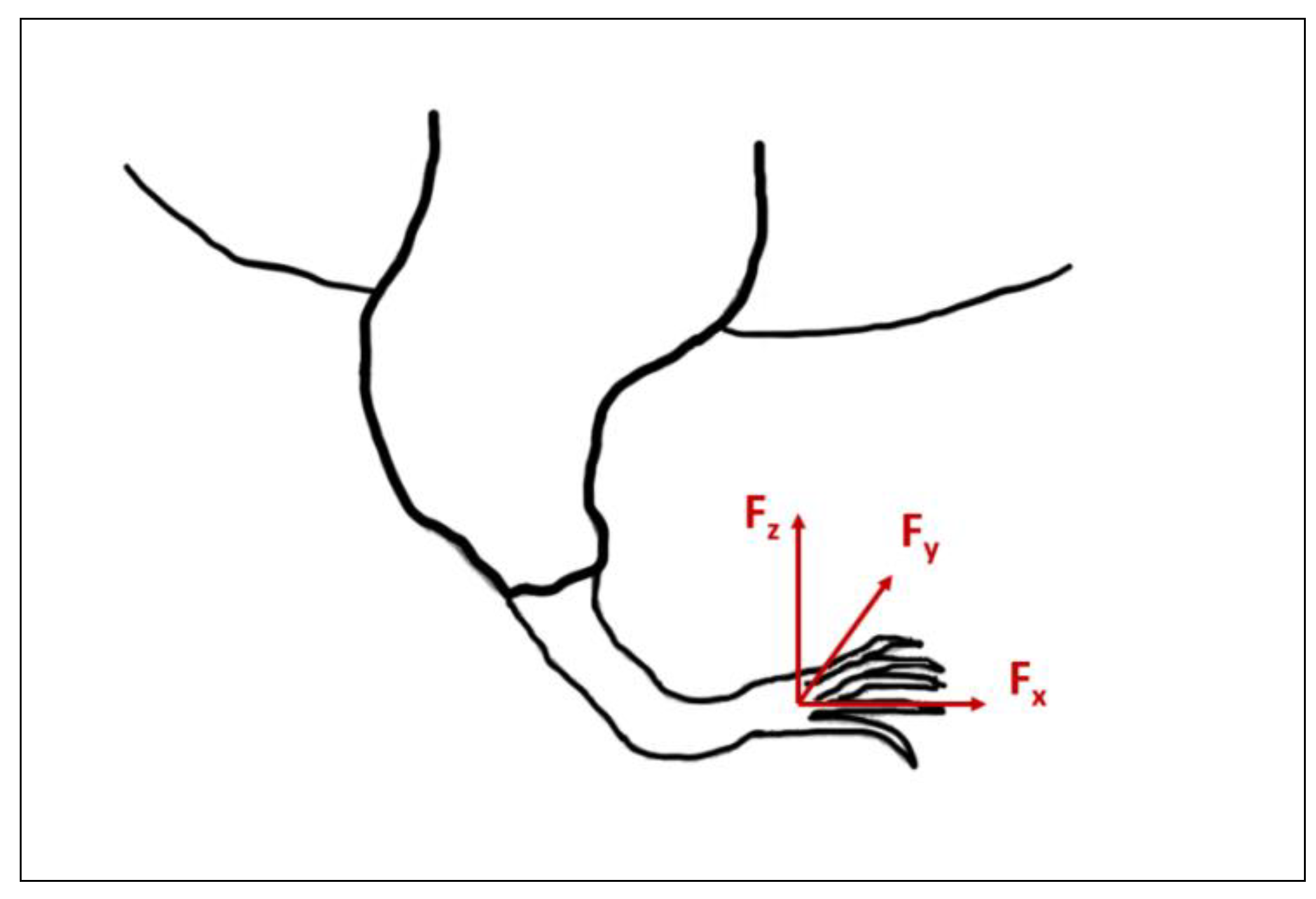 Biomechanics 01 00005 g002 Biomechanics 01 00005 g002