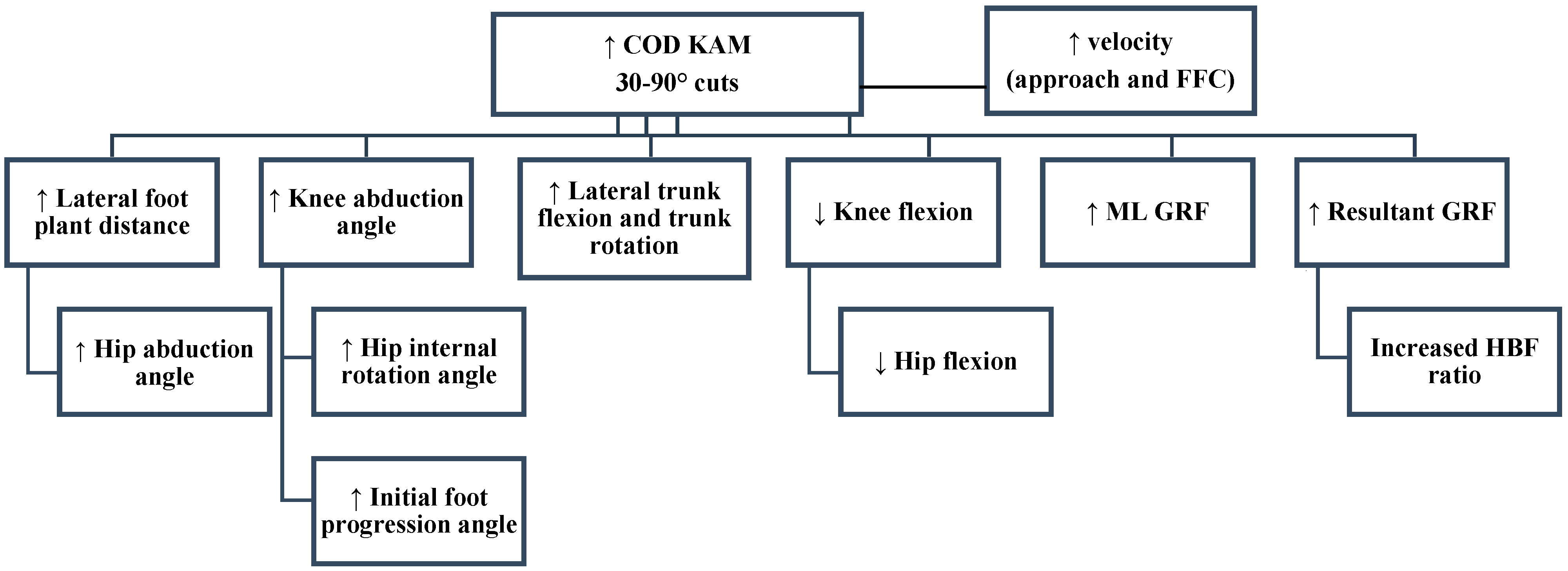 Biomechanics 01 00007 g002 Biomechanics 01 00007 g002