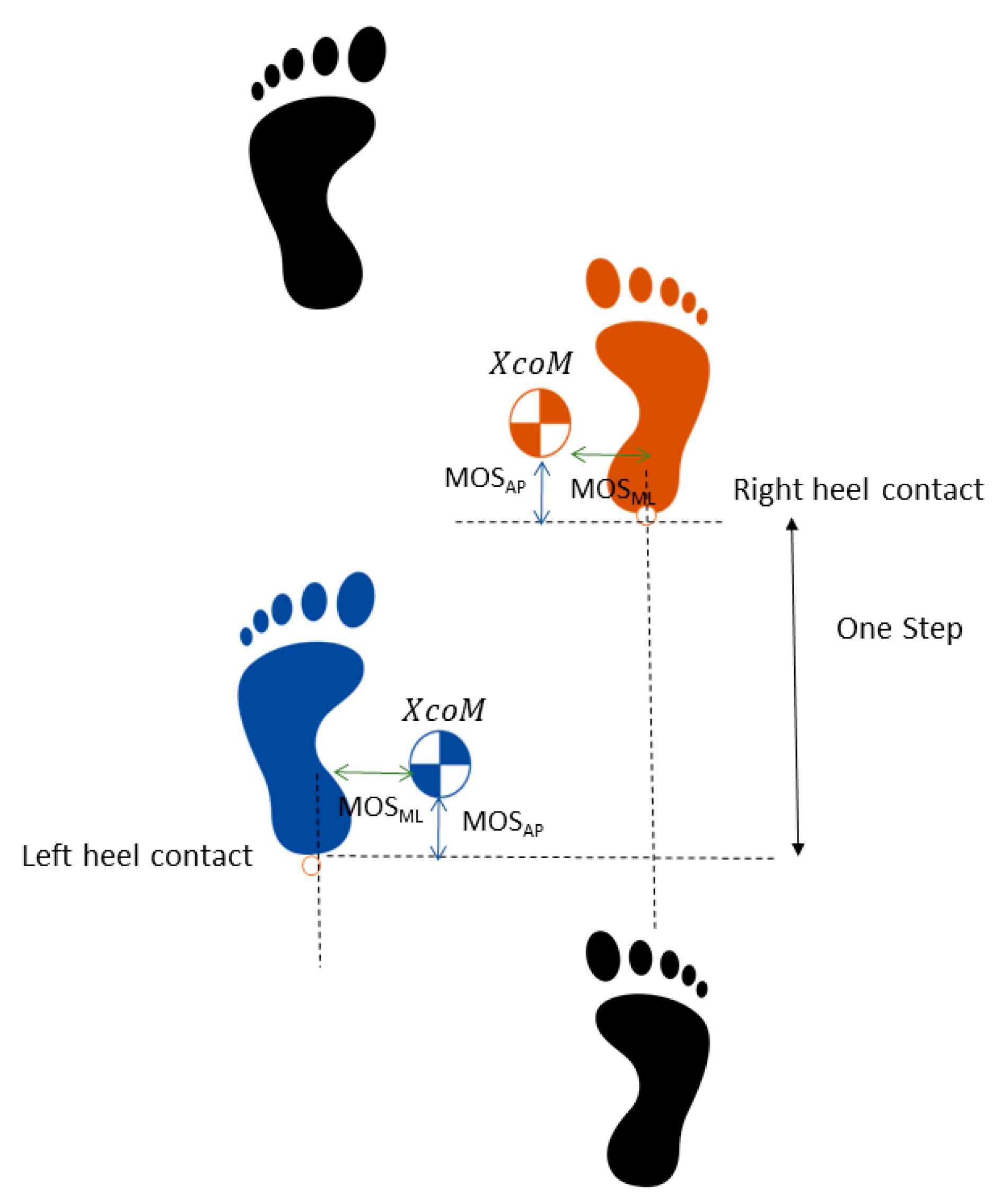 Biomechanics 01 00009 g001 Biomechanics 01 00009 g001