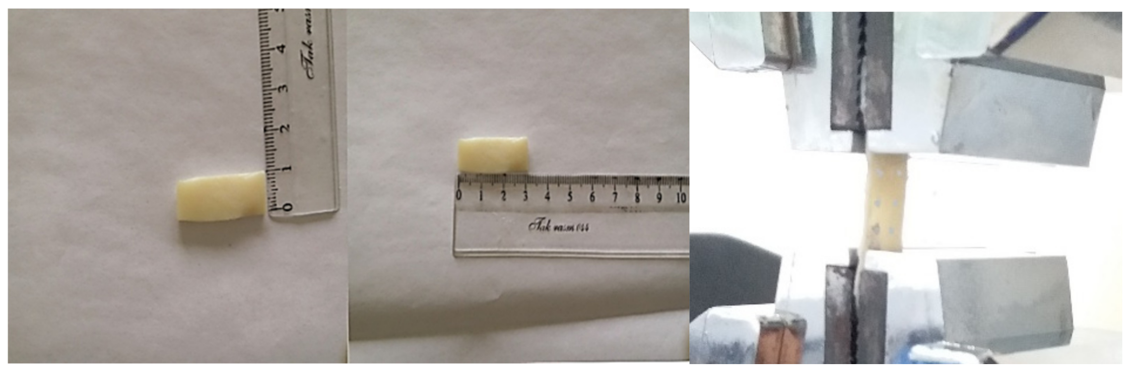 Biomechanics 01 00019 g001