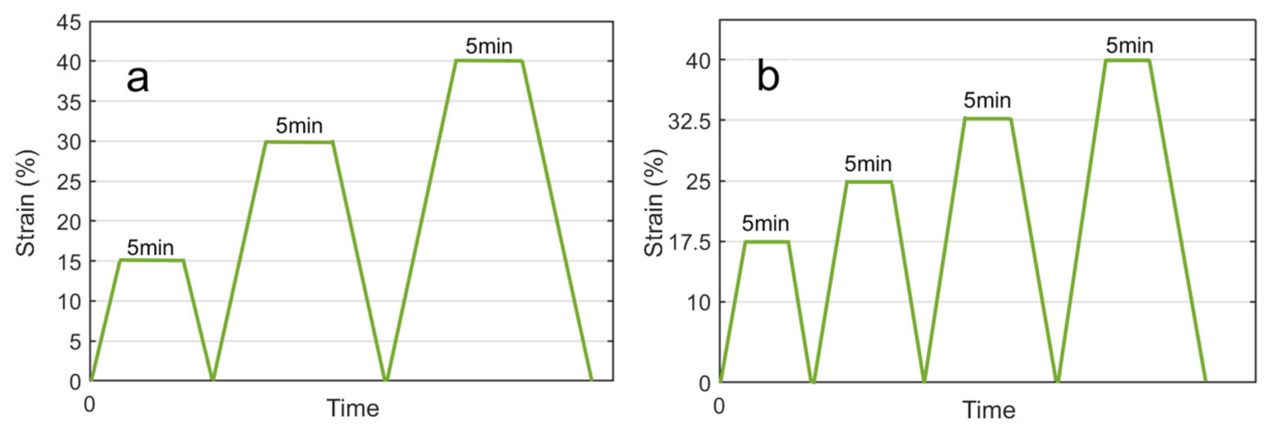 Biomechanics 01 00019 g006