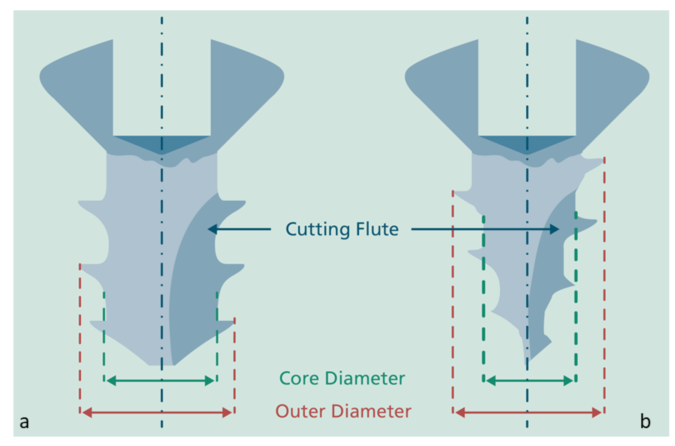 Biomechanics 01 00020 g001