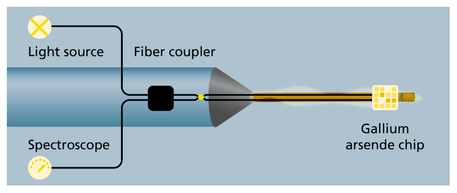 Biomechanics 01 00020 g005