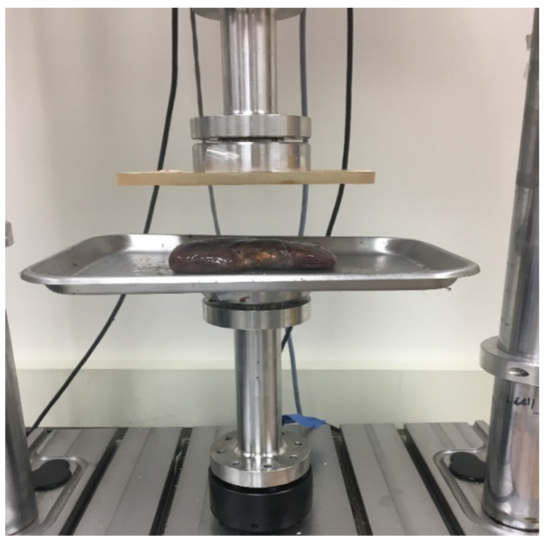 Biomechanics 01 00022 g001 Biomechanics 01 00022 g001