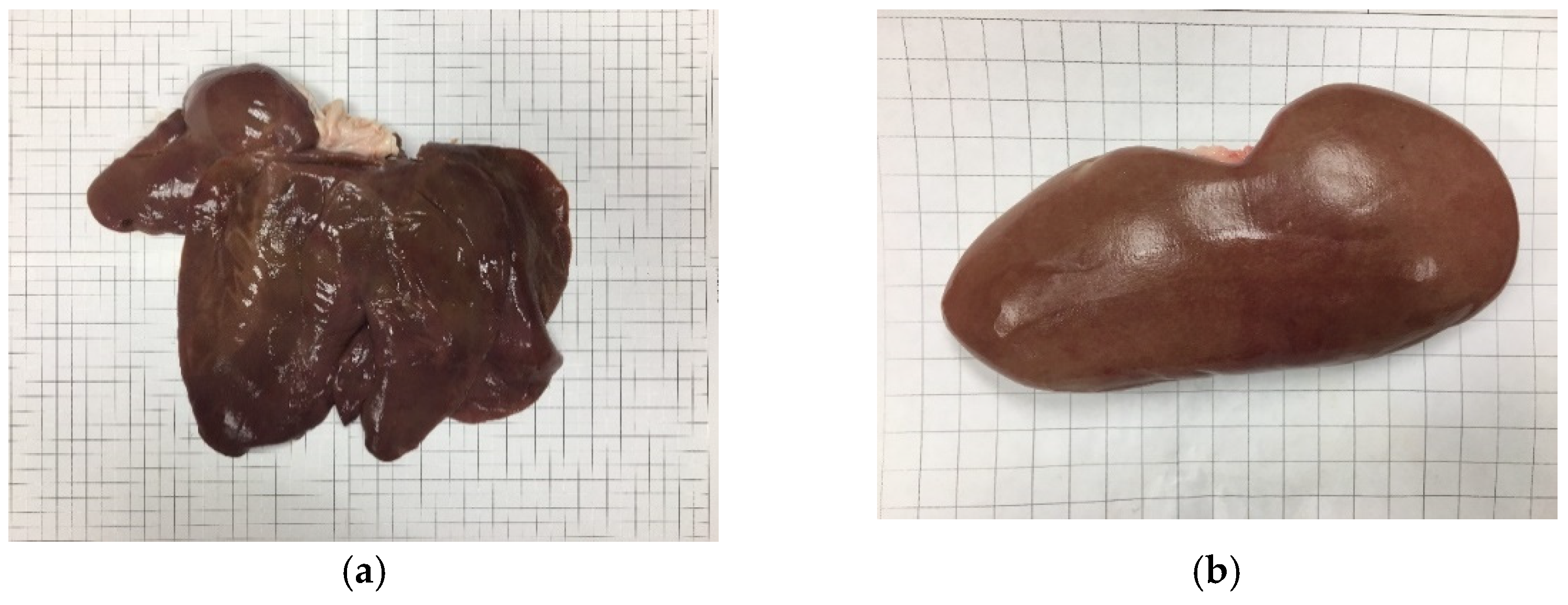 Biomechanics 01 00022 g003 Biomechanics 01 00022 g003