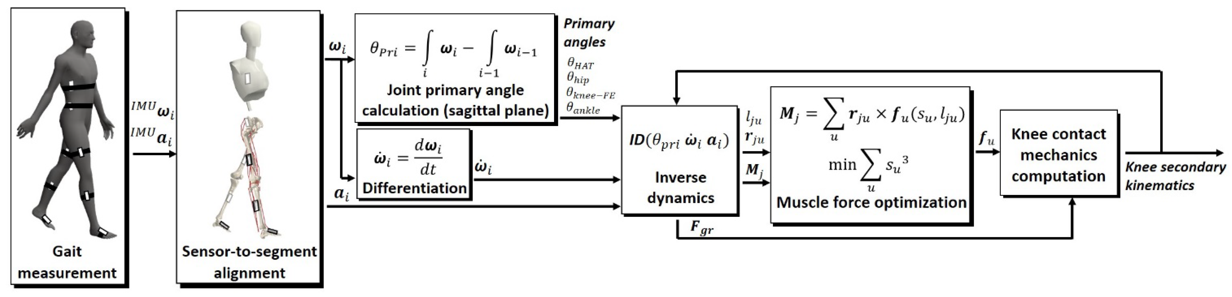 Biomechanics 01 00025 g001