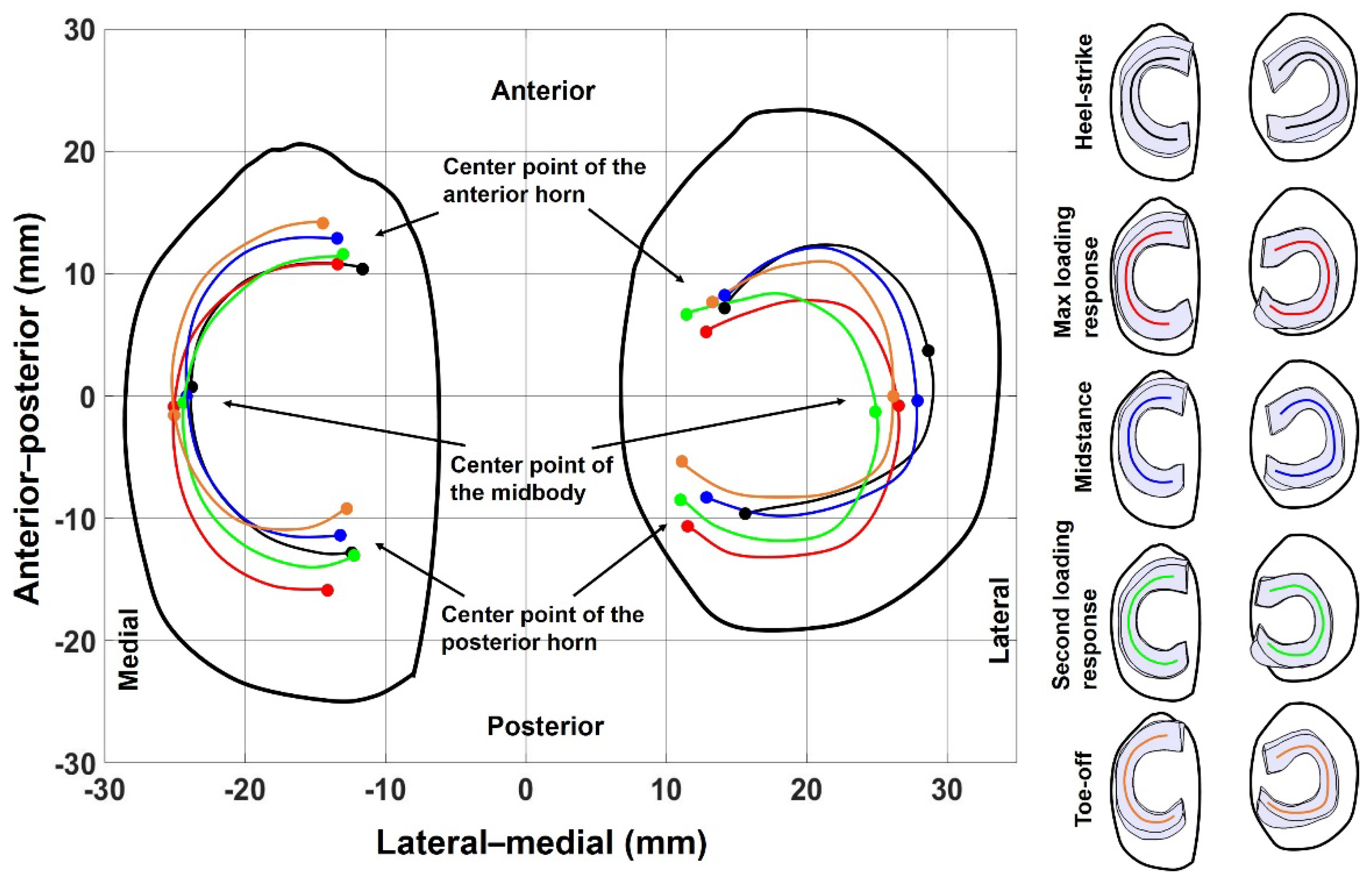 Biomechanics 01 00025 g006