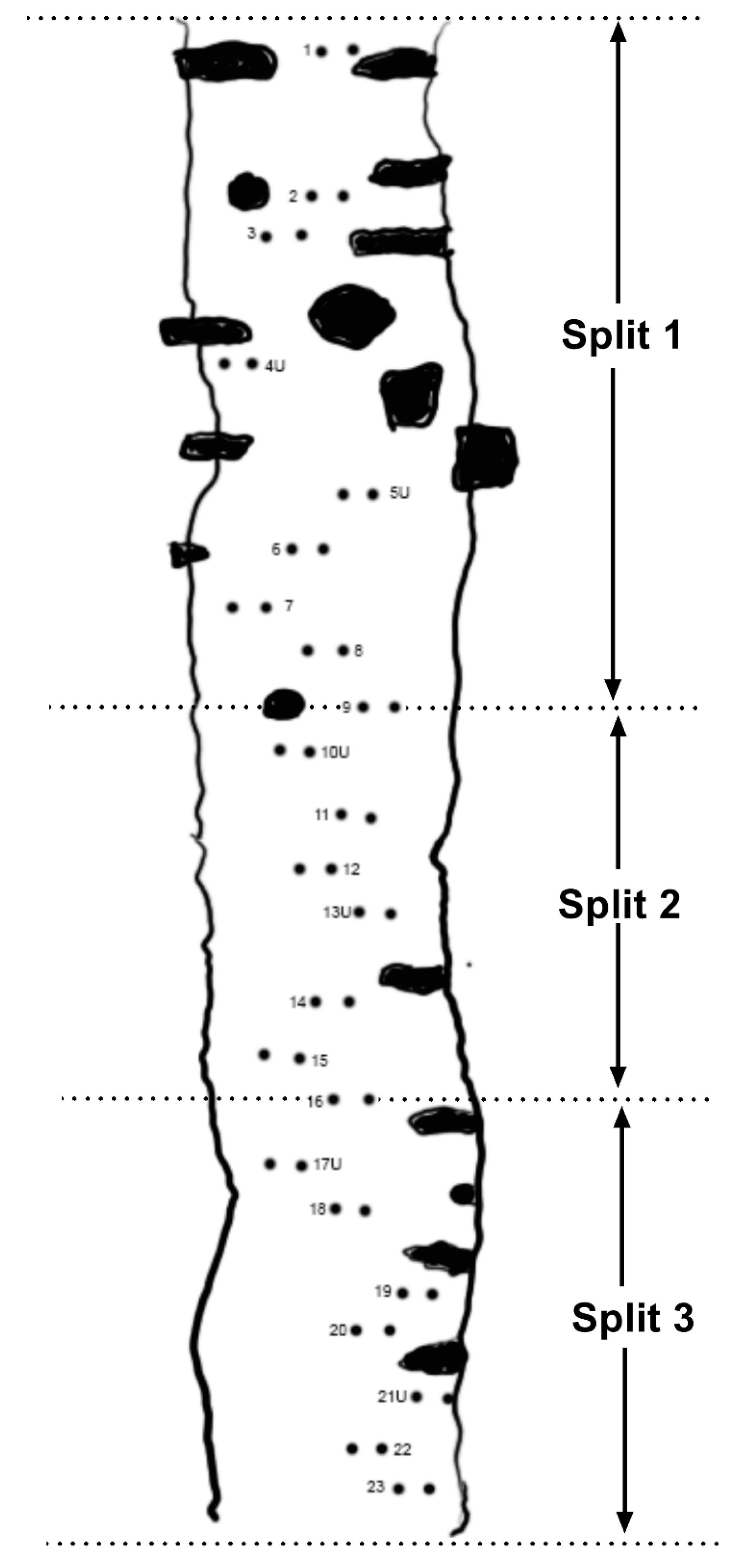 Biomechanics 02 00005 g001 550