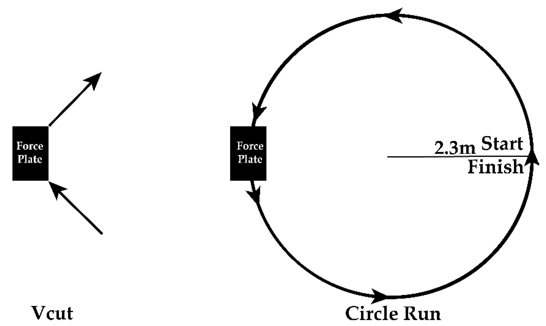 Biomechanics 02 00007 g002 550