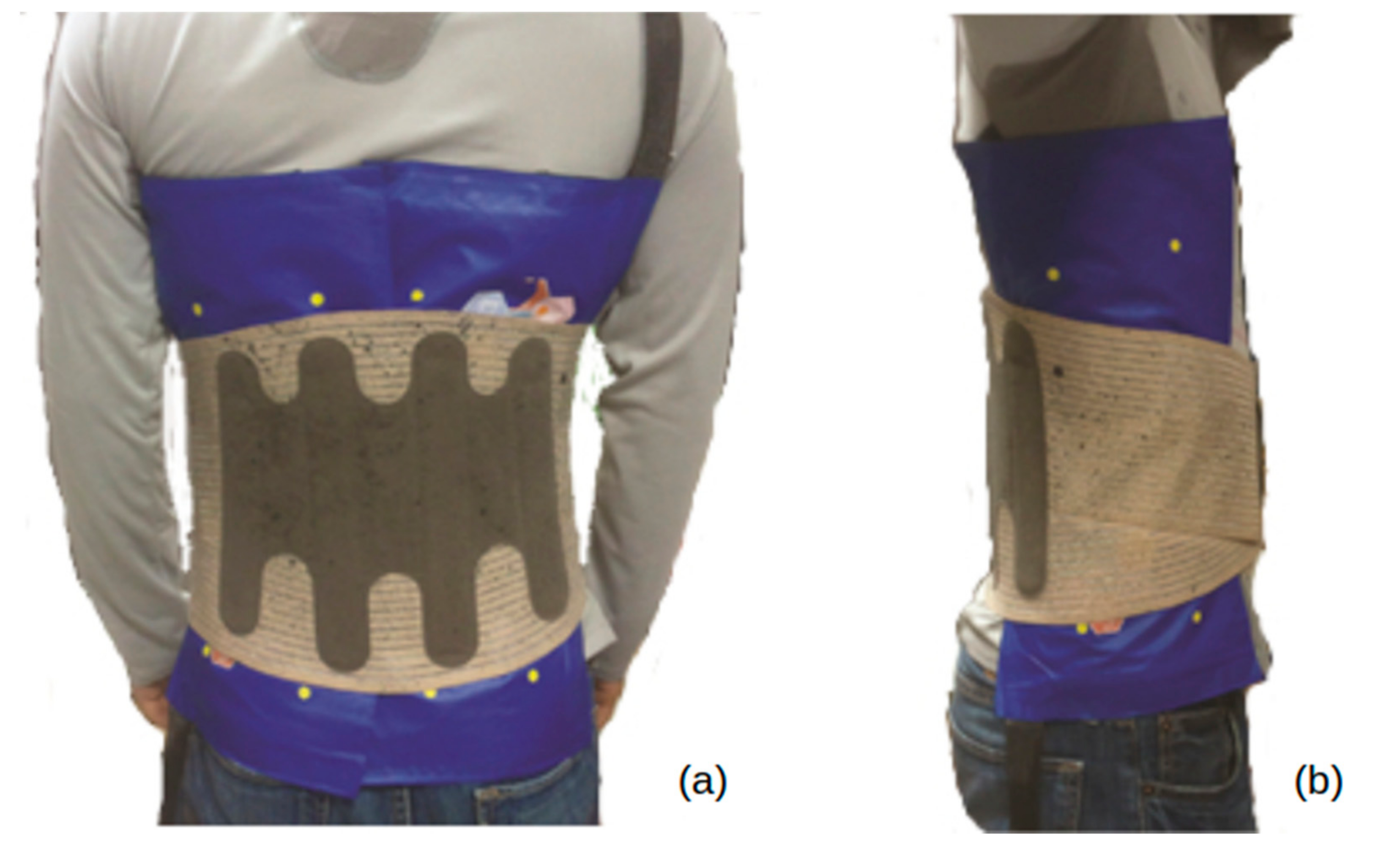 Biomechanics 02 00015 g002