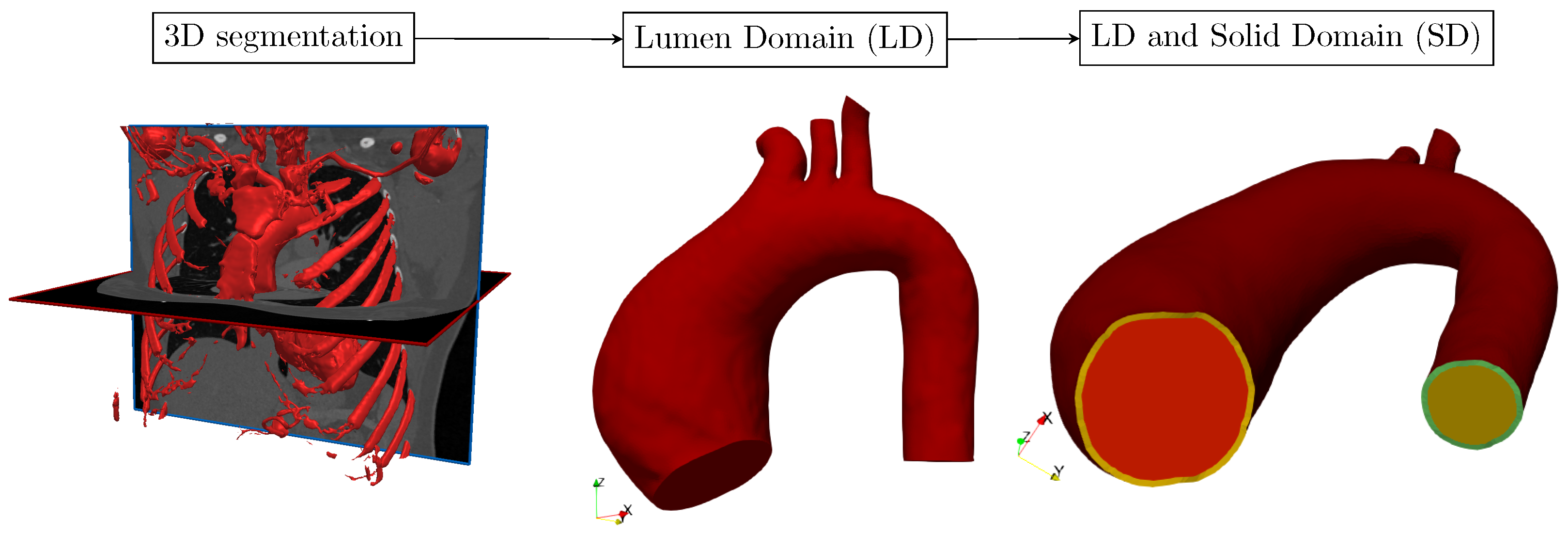 Biomechanics 02 00016 g003 Biomechanics 02 00016 g003