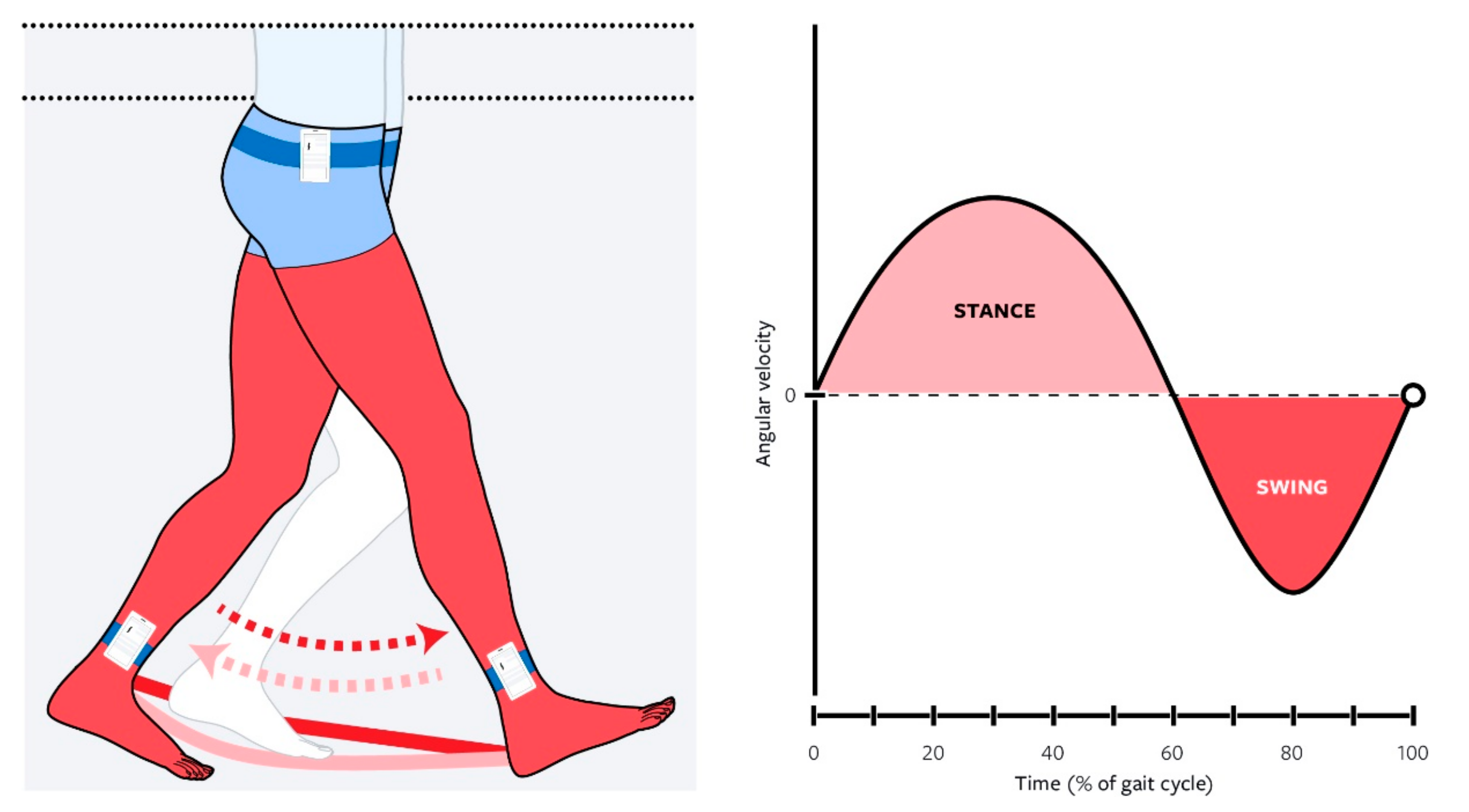 Biomechanics 02 00019 g002 550
