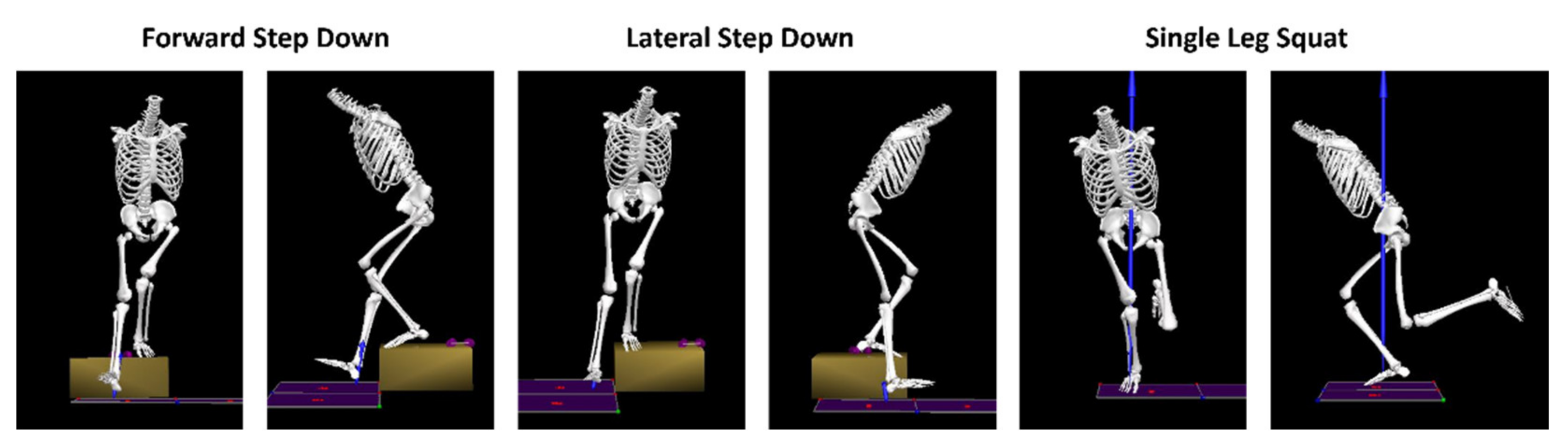 Biomechanics 02 00046 g001 Biomechanics 02 00046 g001