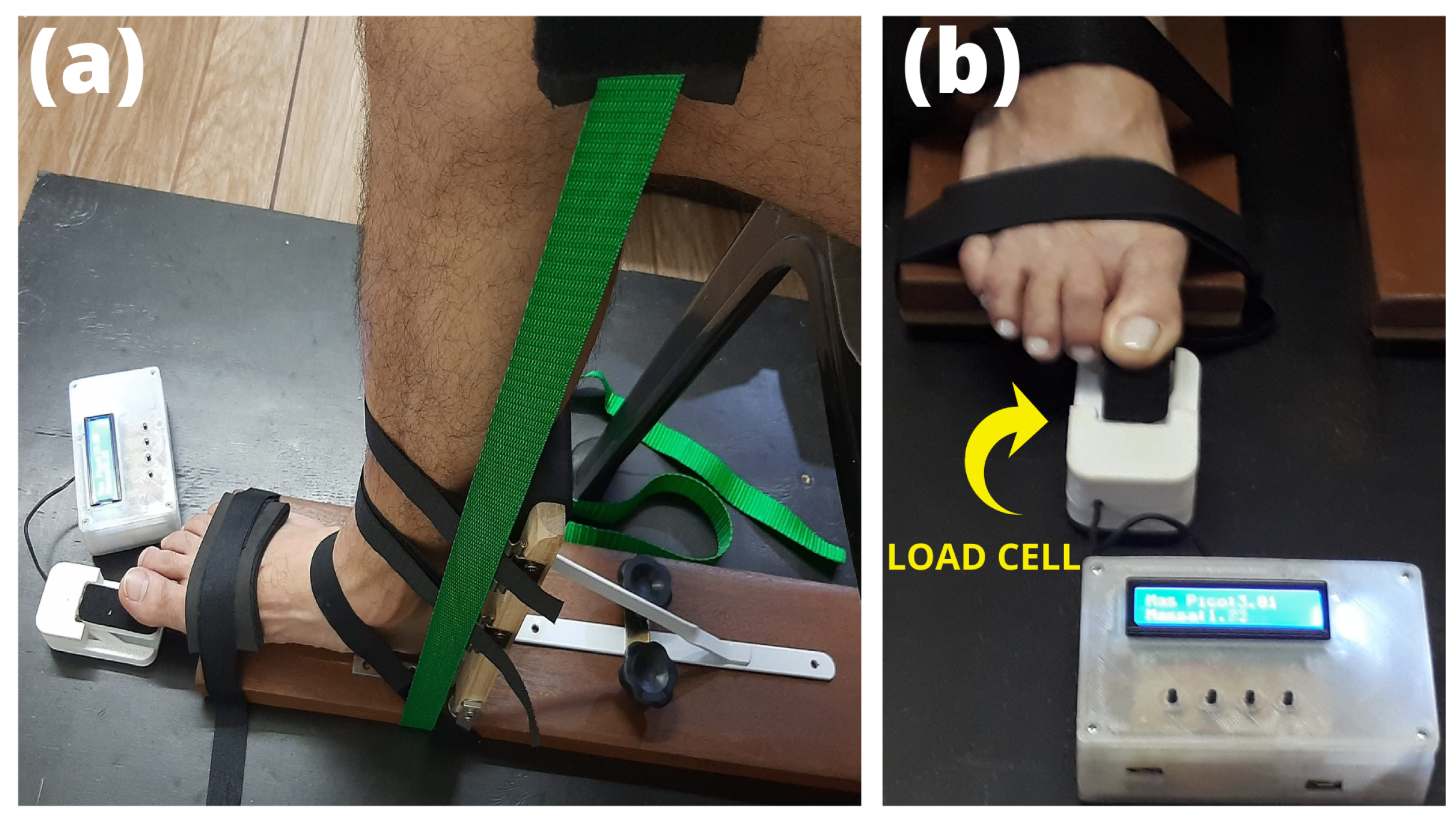 Biomechanics 02 00048 g001 Biomechanics 02 00048 g001