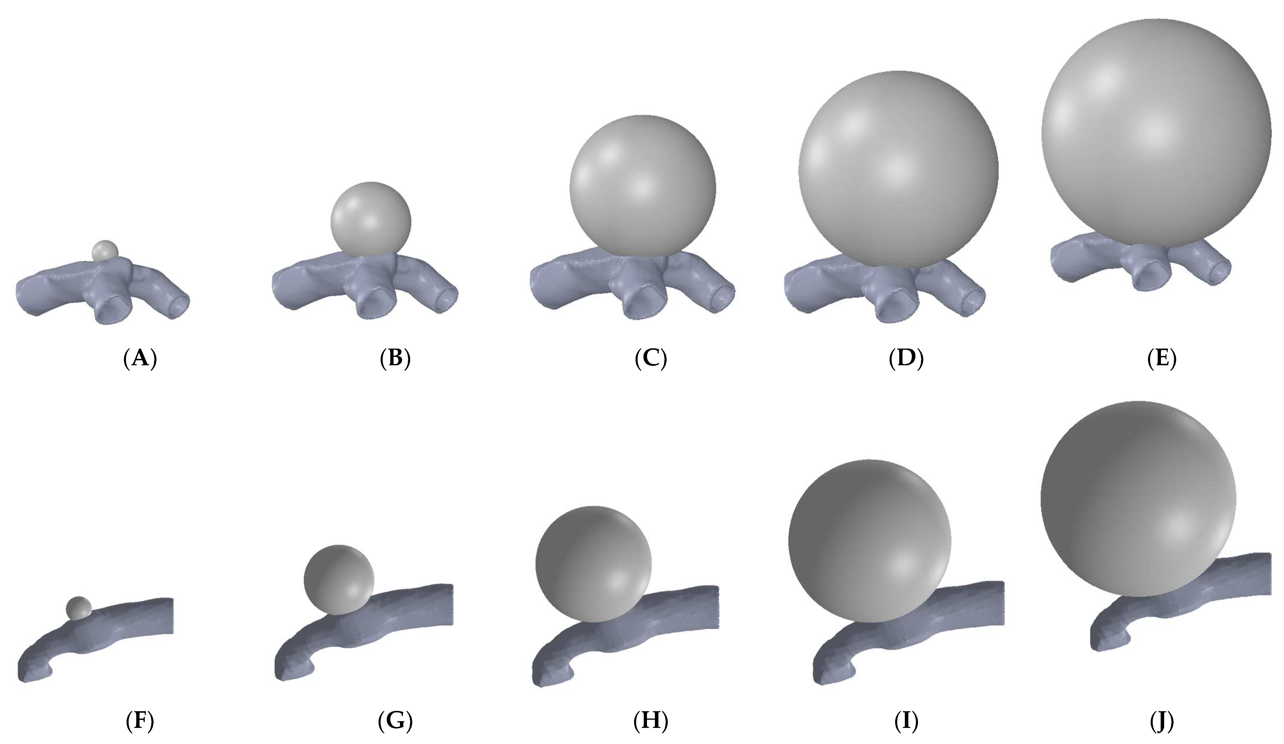 Biomechanics 03 00002 g002 Biomechanics 03 00002 g002
