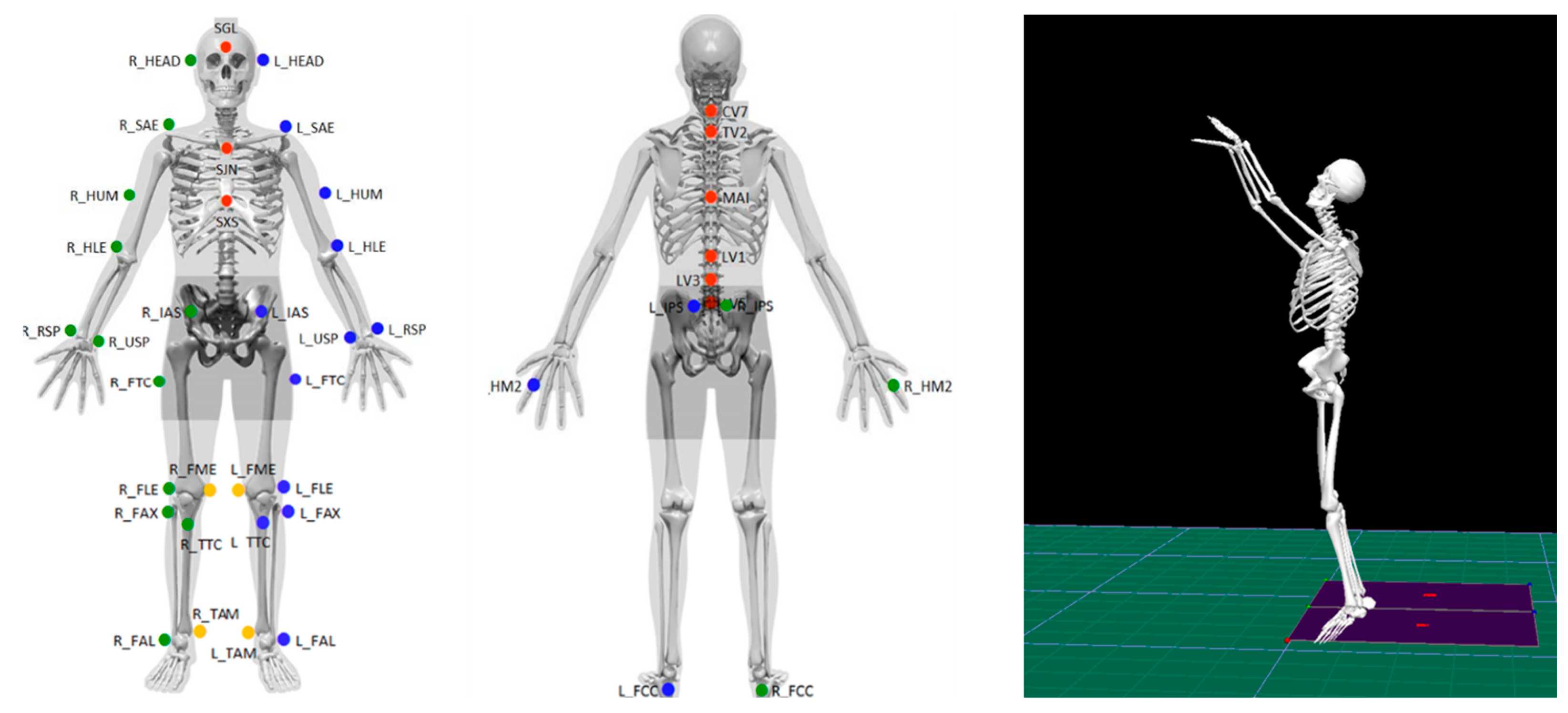 Biomechanics 03 00007 g001