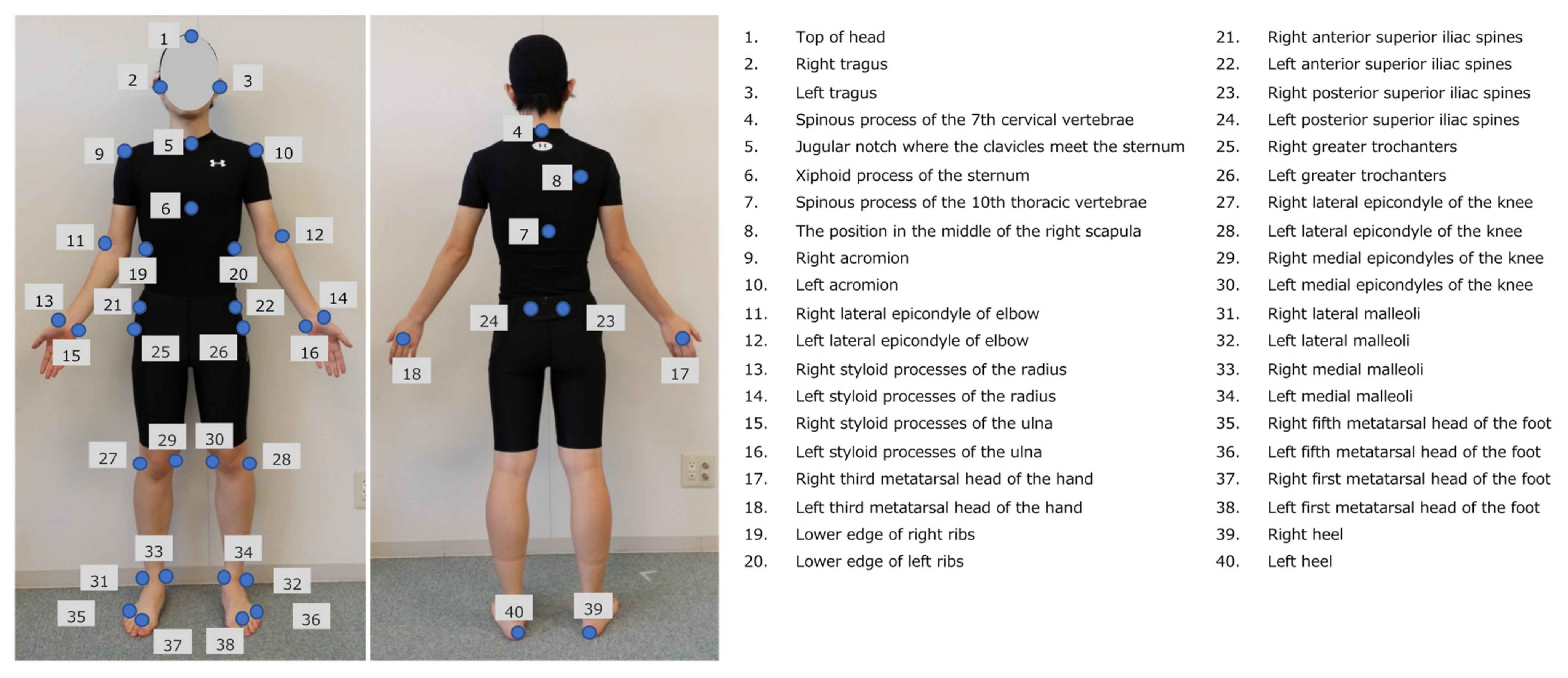 Biomechanics 03 00010 g002 Biomechanics 03 00010 g002