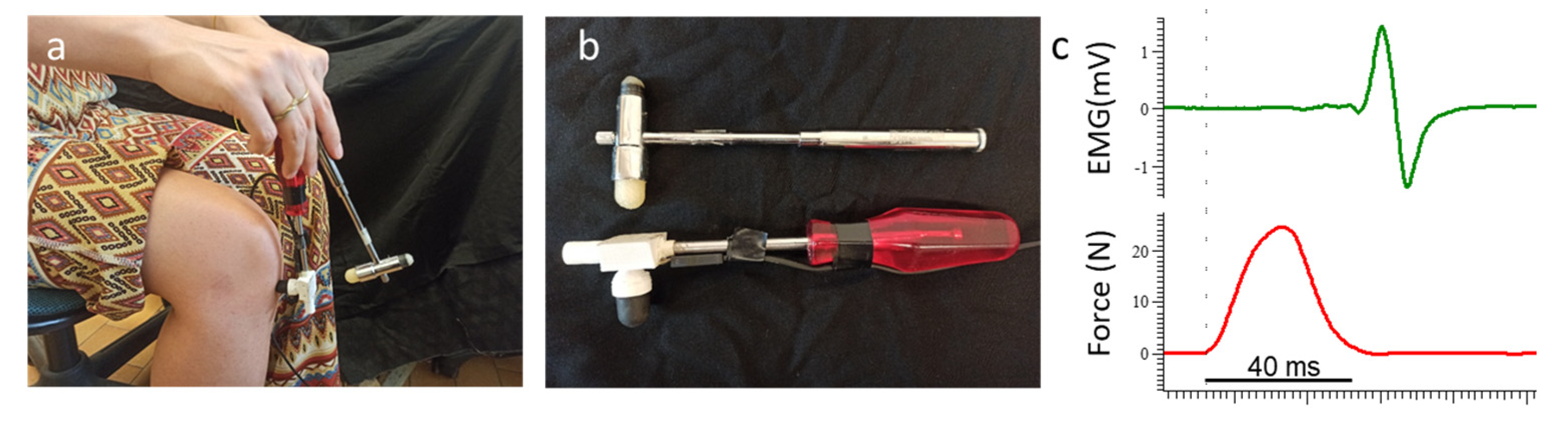 Biomechanics 03 00011 g007 Biomechanics 03 00011 g007