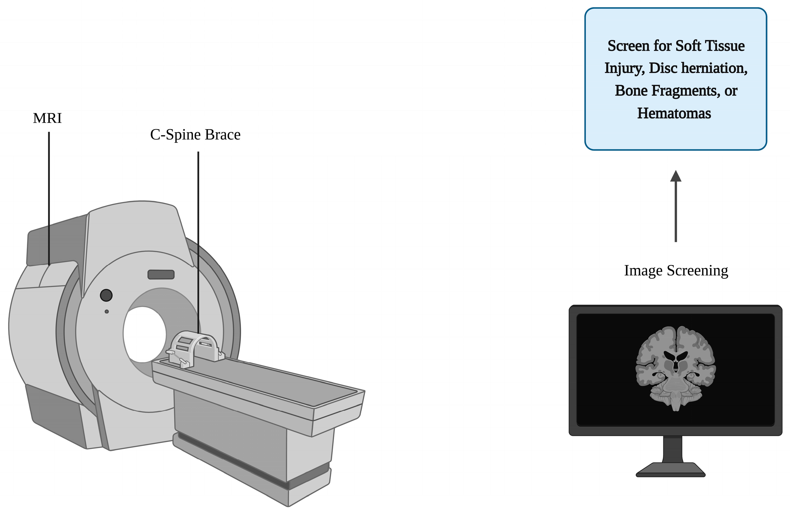Vector Lumbar Support | BioSkin Innovative Bracing Solutions
