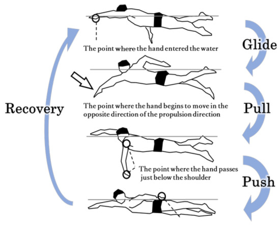 Relationship between Swimming Velocity and Trunk Twist Motion in 