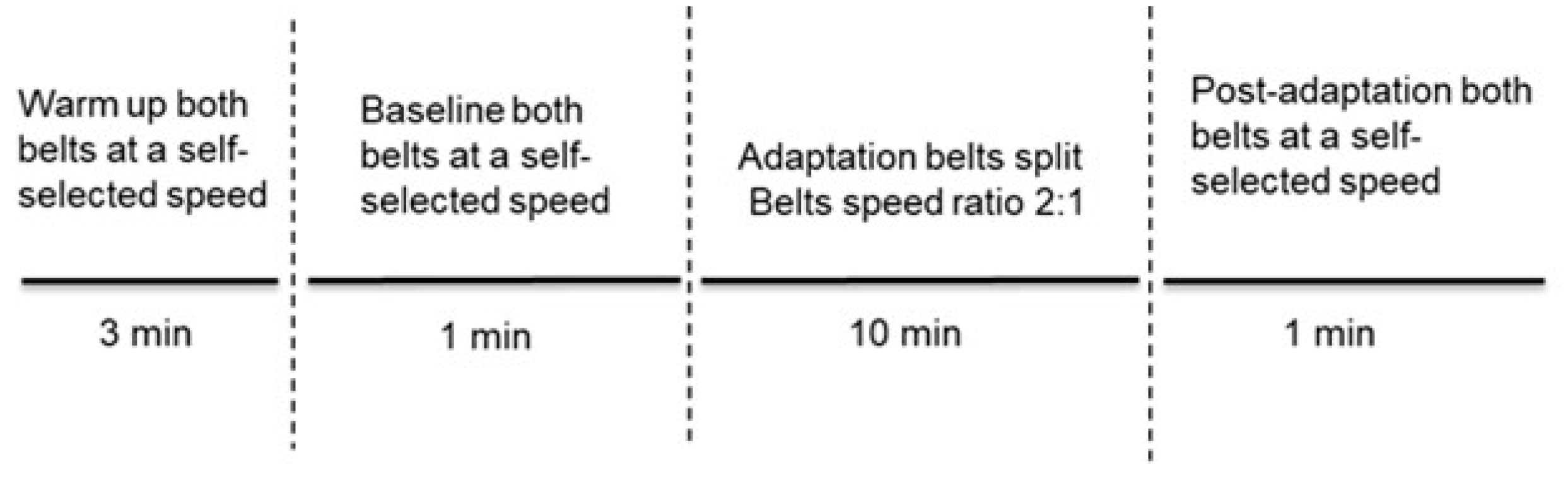 Biomechanics 03 00019 g001